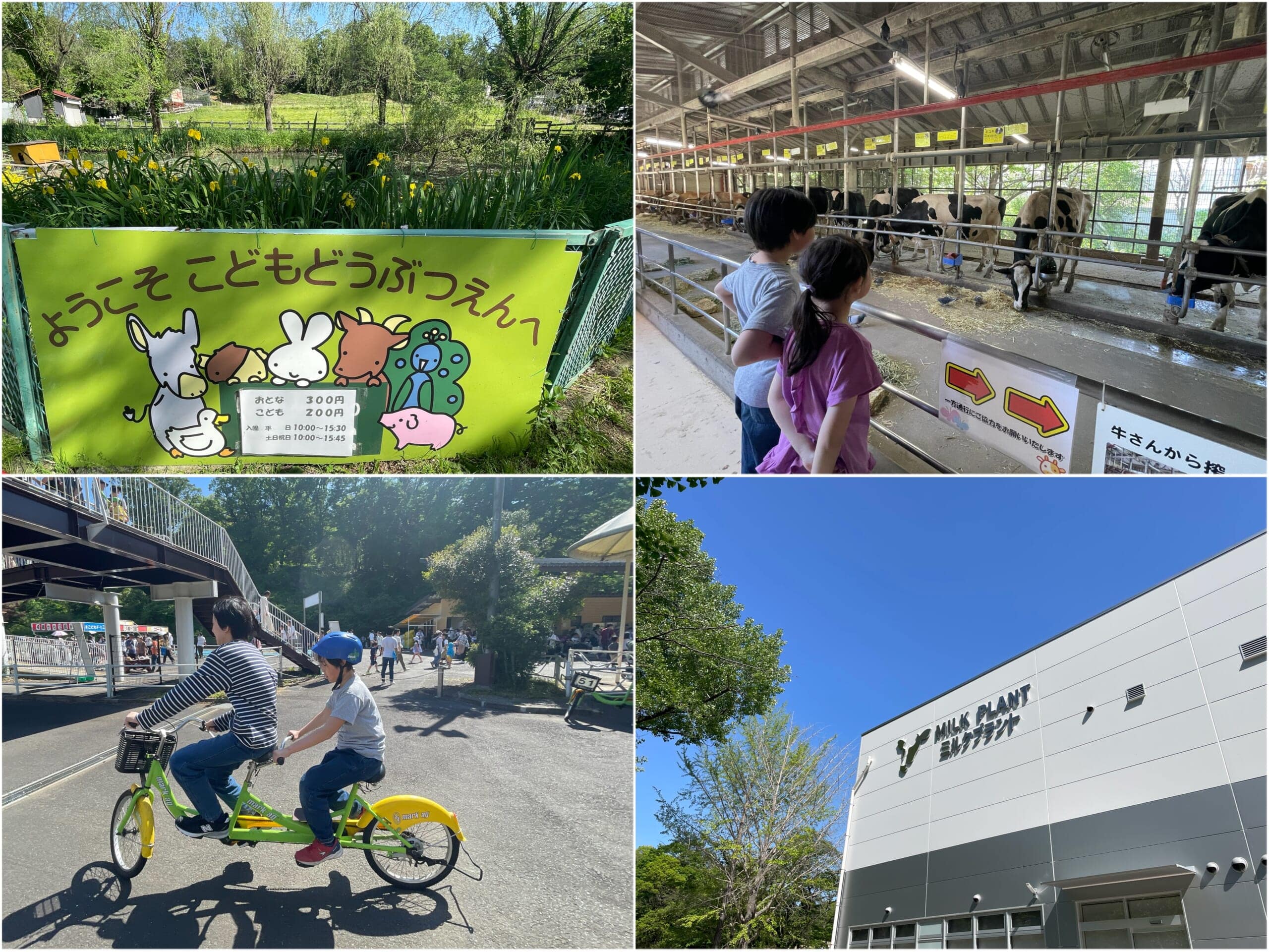 こどもの国でサイクリング