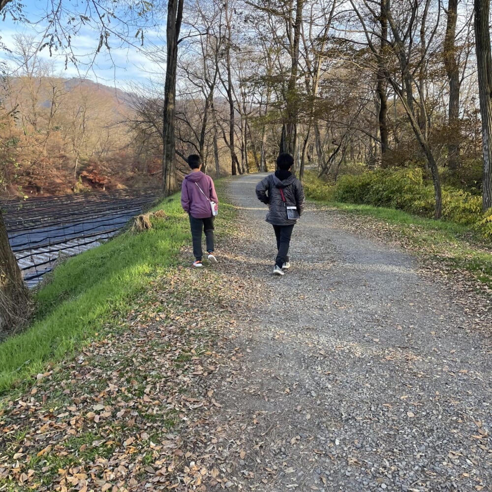 紅葉 長野 散歩