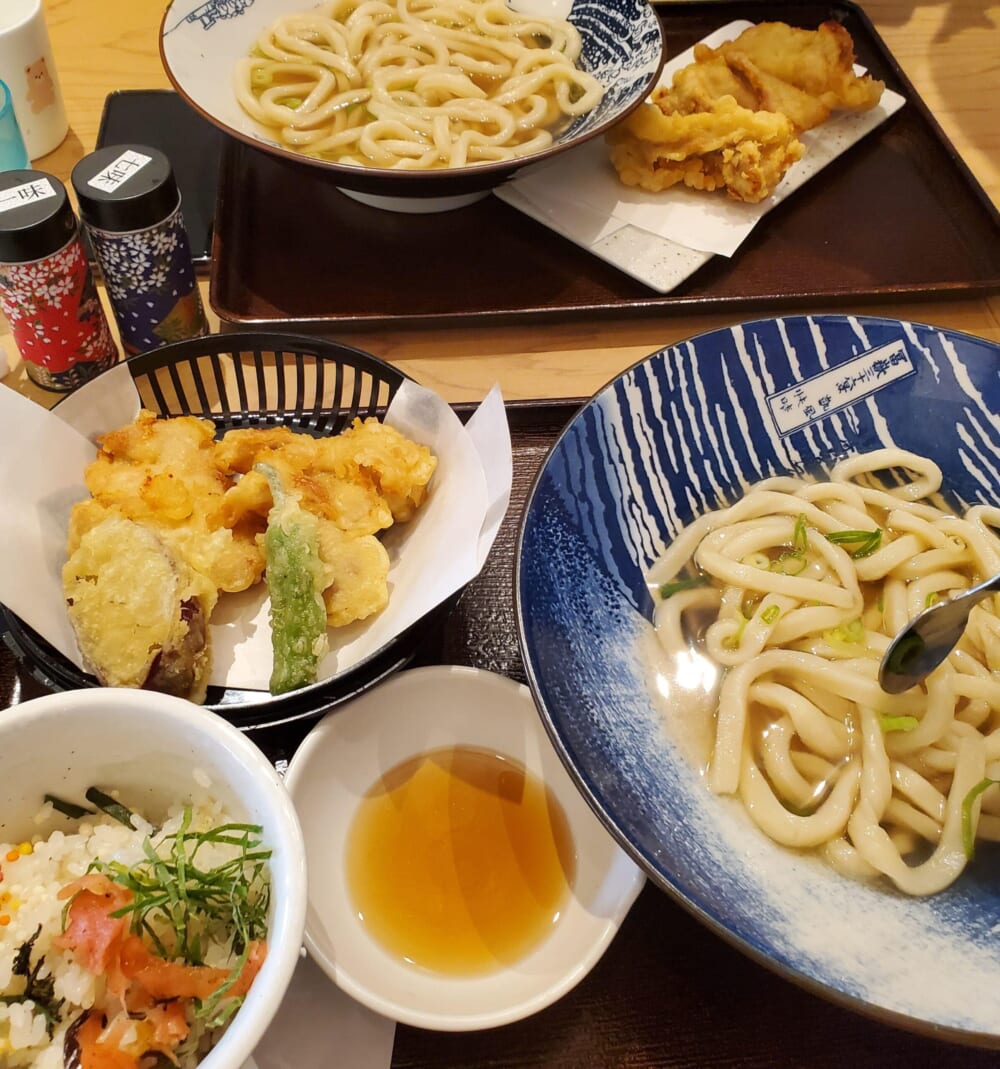 岐阜公園で食べたうどん定食