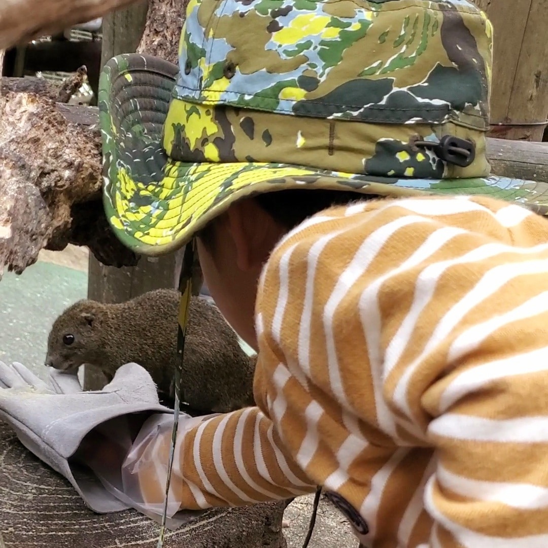 リス村でエサやり体験