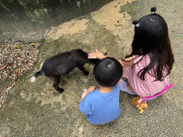ヴィンパールサファリ フーコックのキッズサファリの写真