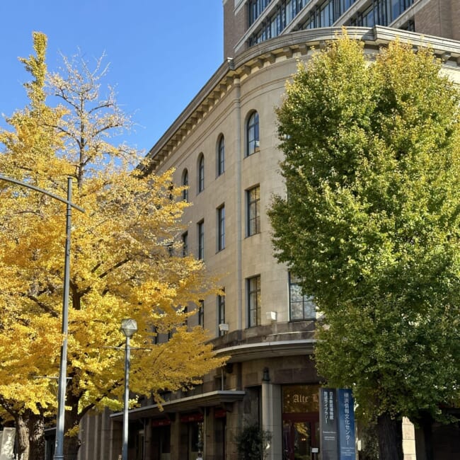 横浜・日本大通り 銀杏並木