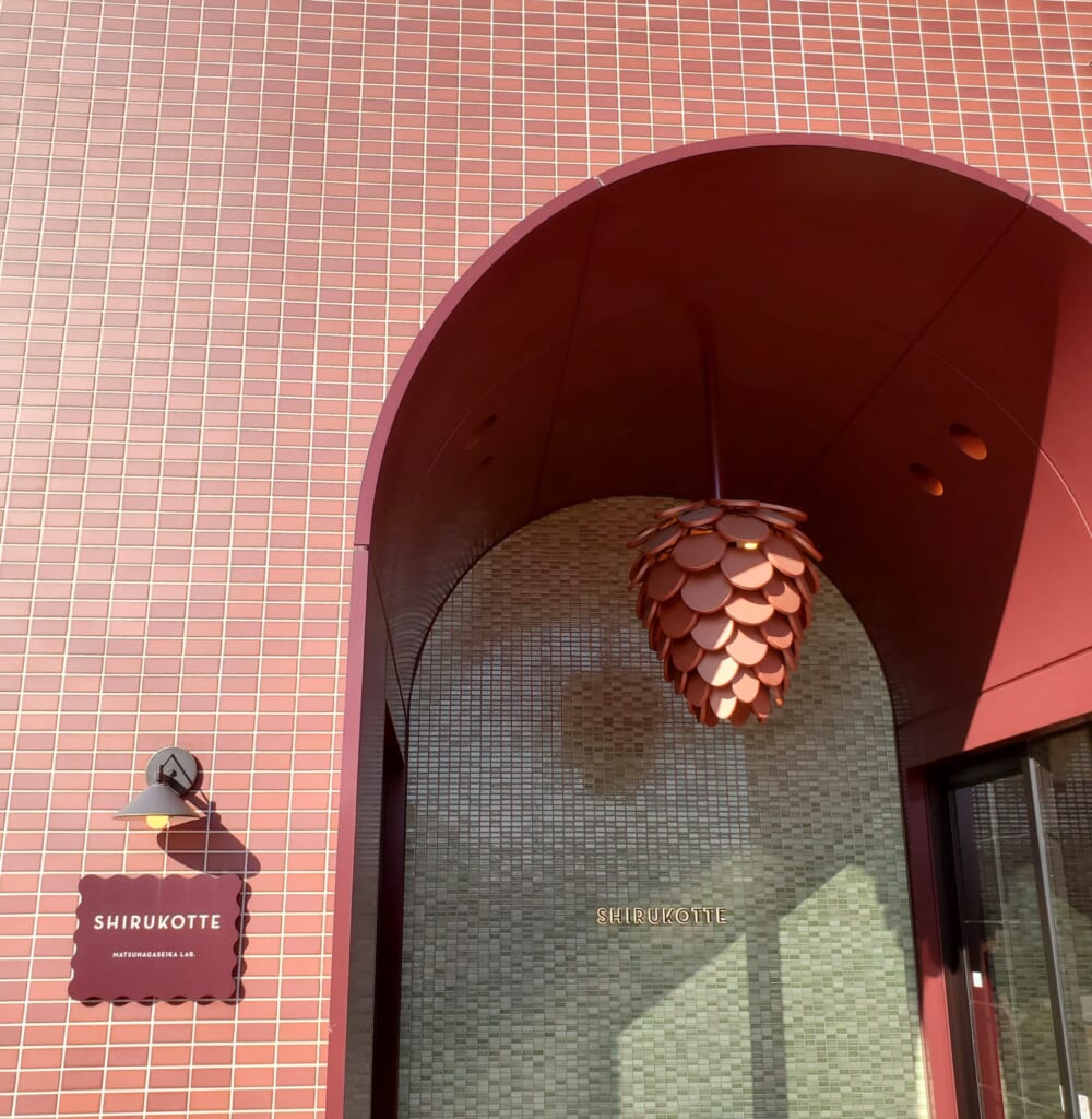 シルコッテの松ぼっくりオブジェ