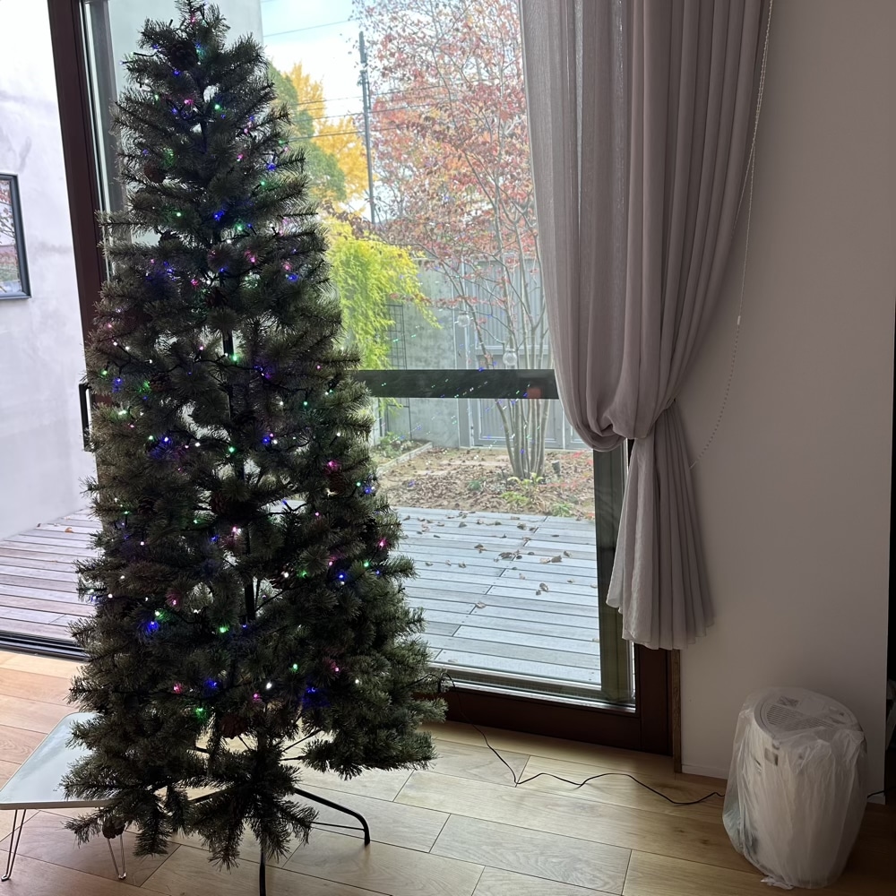 Alsace クリスマスツリー 2025