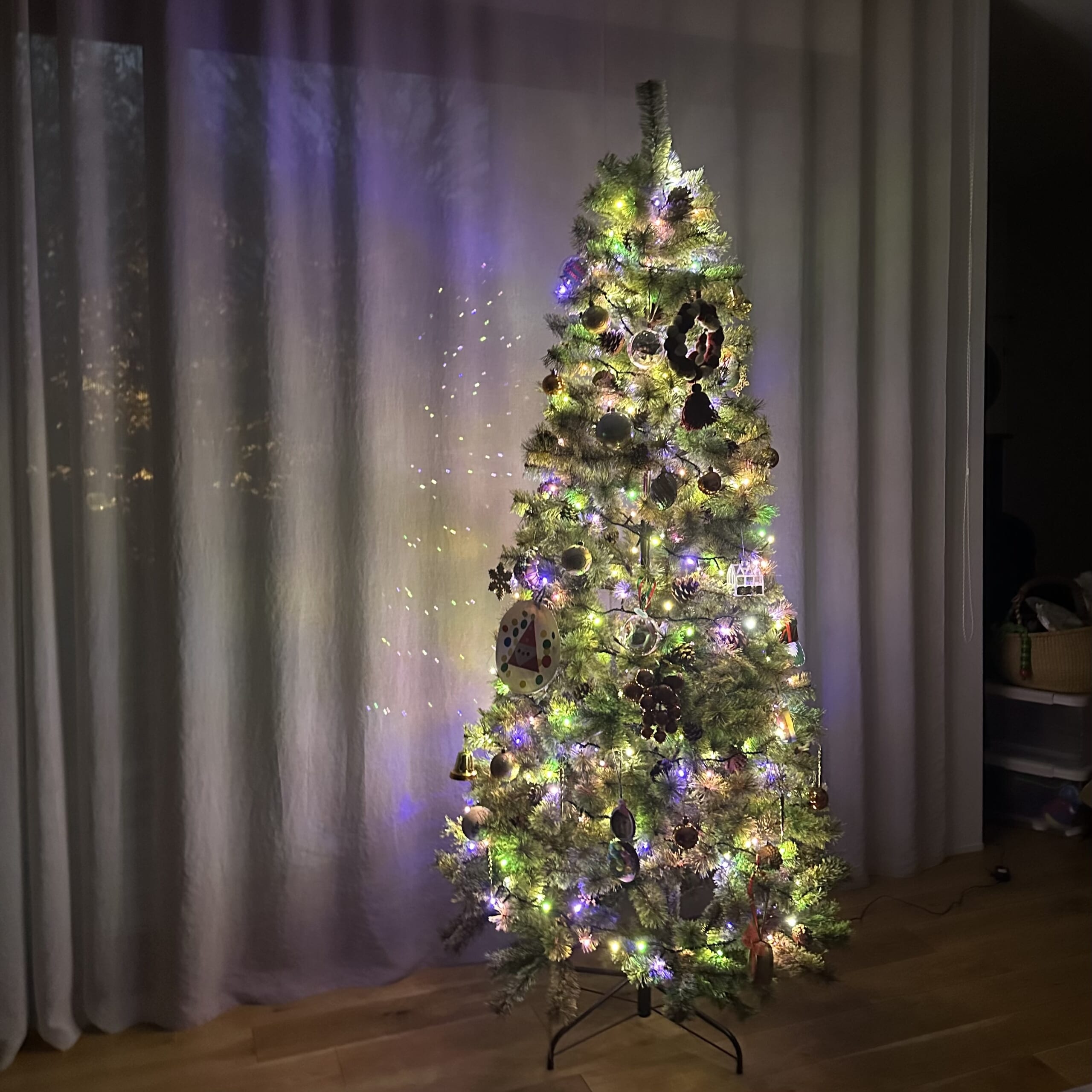 Alsace クリスマスツリー 2025