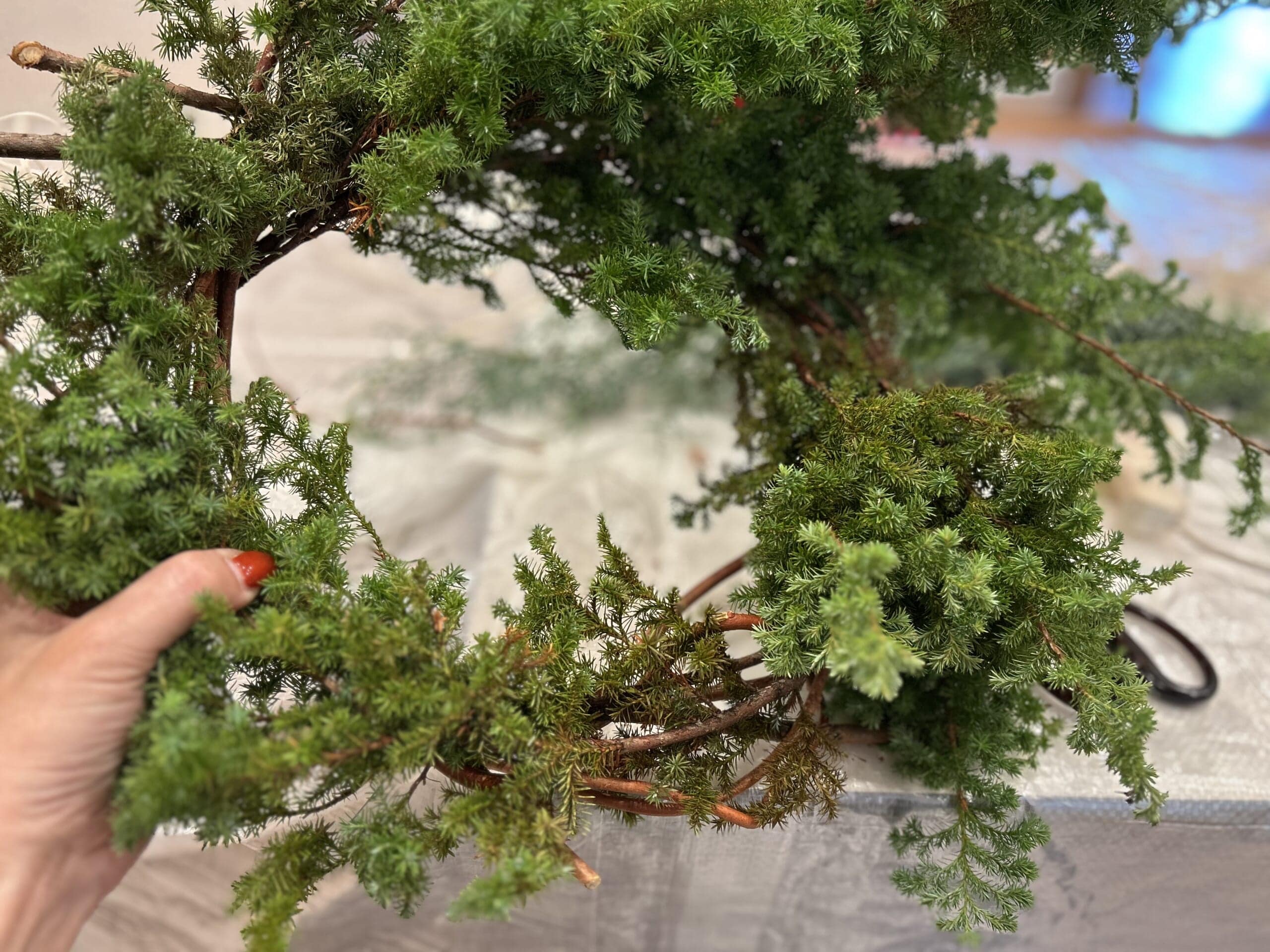 簡単にできる手作りクリスマスリースの作り方、ヒムロスギを巻いていき、固定する。