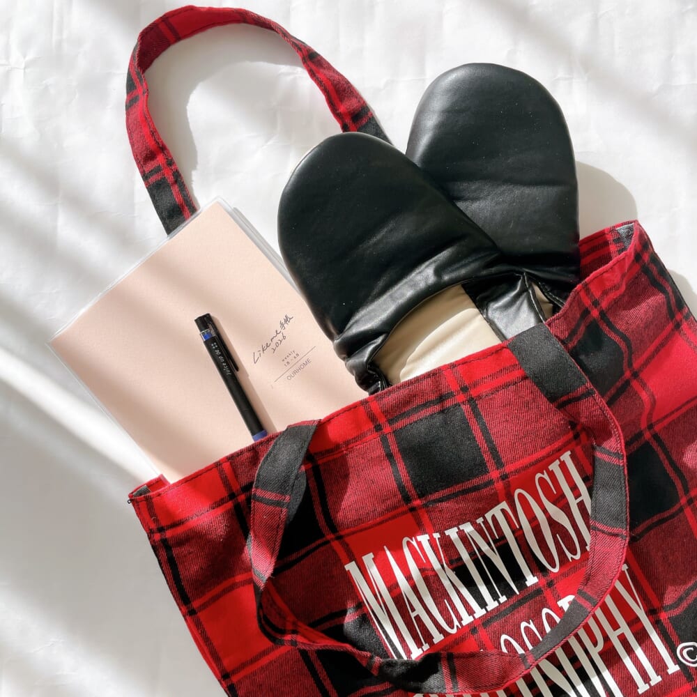 マッキントッシュフィロソフィー　大人のチェック柄BIGトート　LEE2026年1・2月号