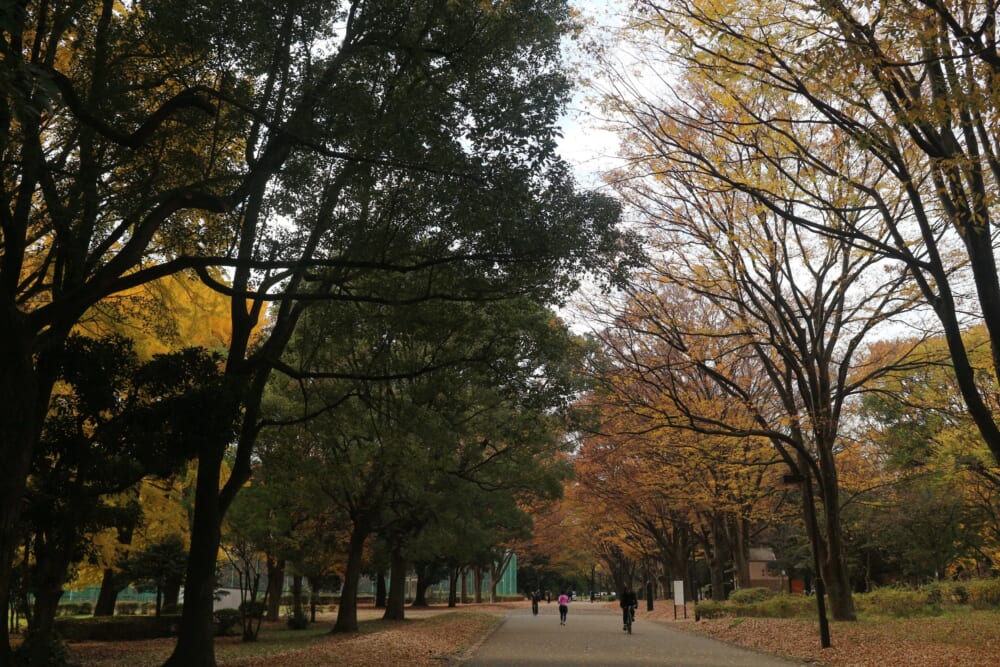 minäperhonen ミナペルホネン　つぐ