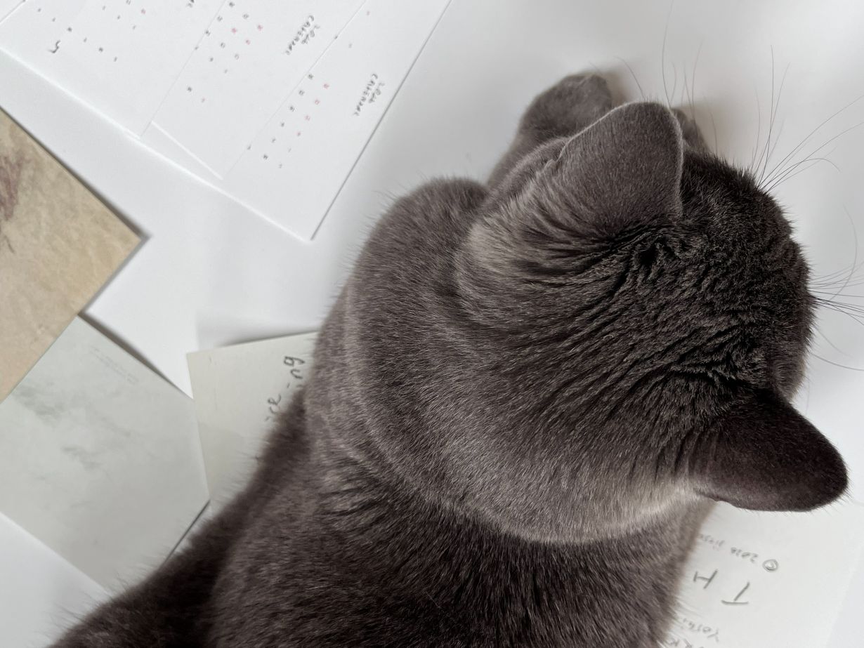 jitsu 2026年カレンダー