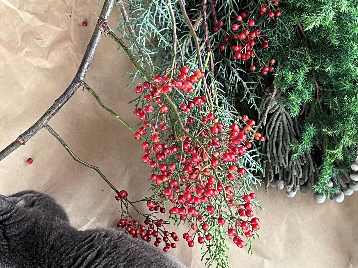 猫とクリスマスリース作り