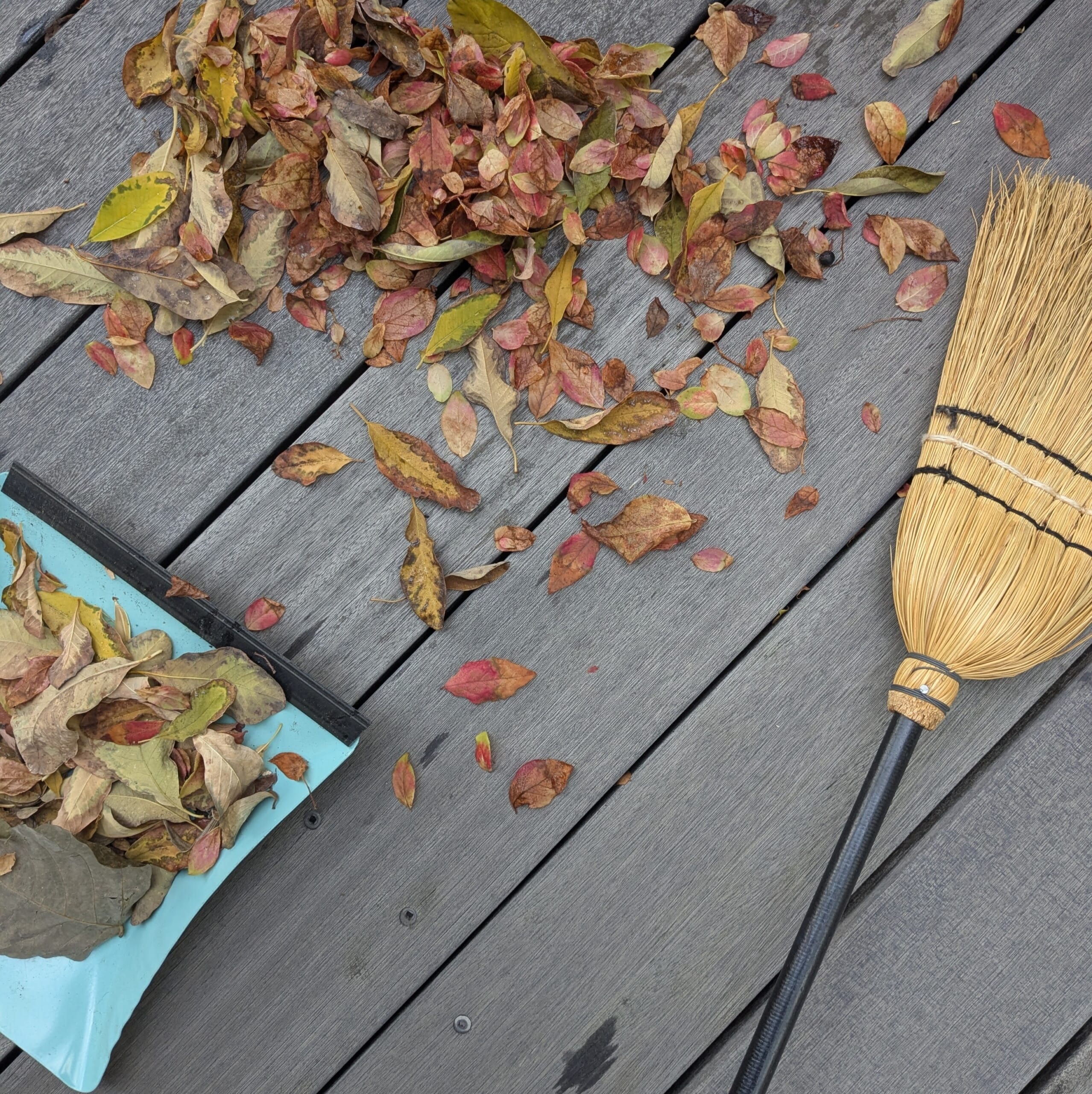 デッキ落ち葉の掃除