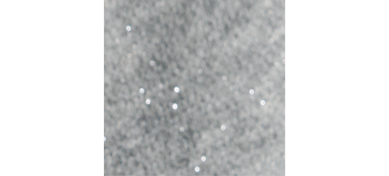 杢調のスウェット生地に織り込んだラメは、さりげない輝きがポイント。きれいめ派も大人っぽく着こなせます。