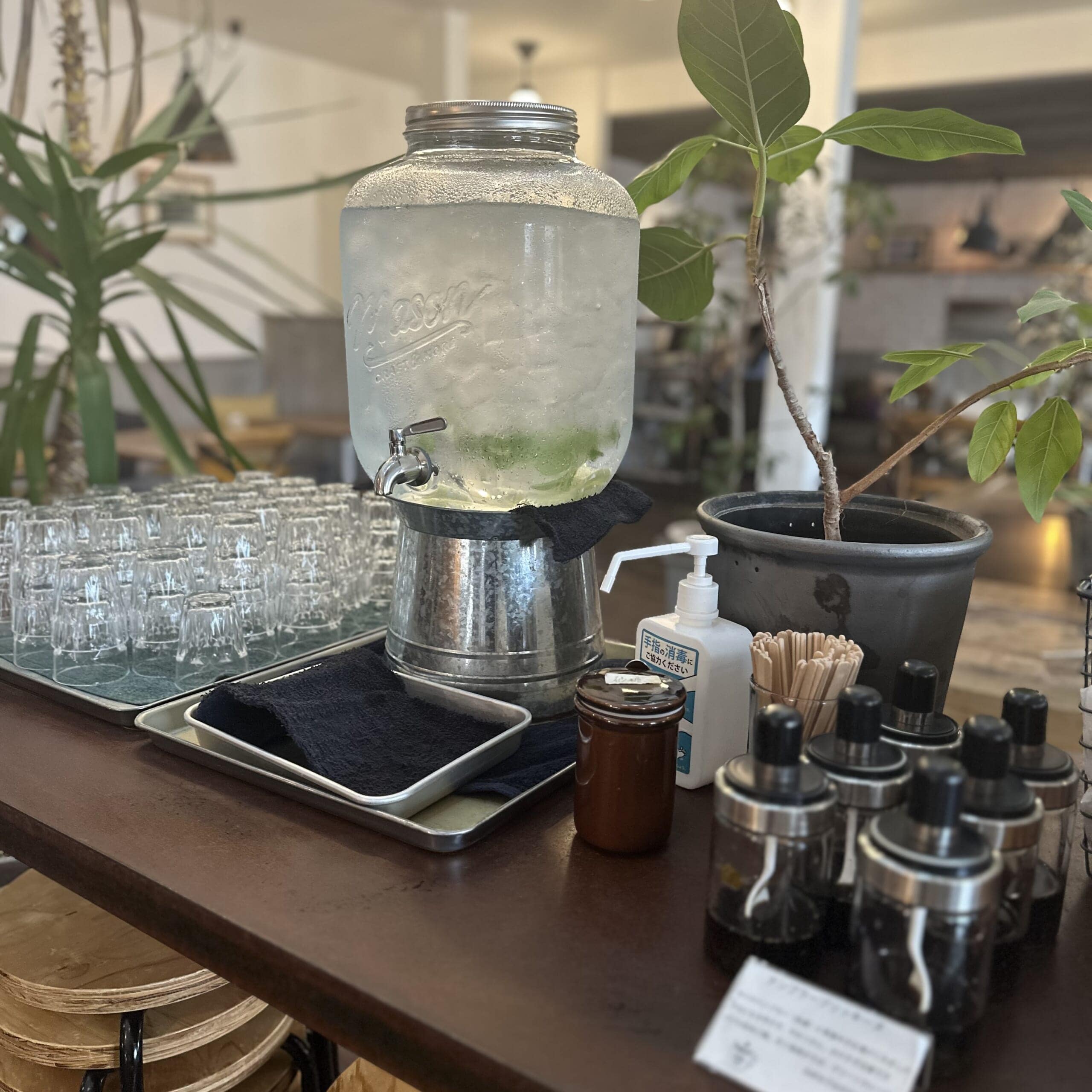 Cajon to Seed 金沢市　カフェ