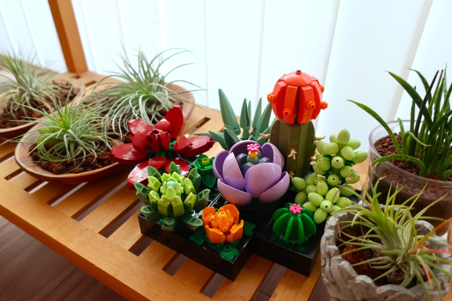 レゴ　ボタニカルコレクション　多肉植物