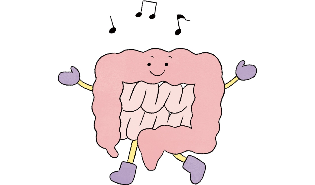 調子の良い腸のイラスト