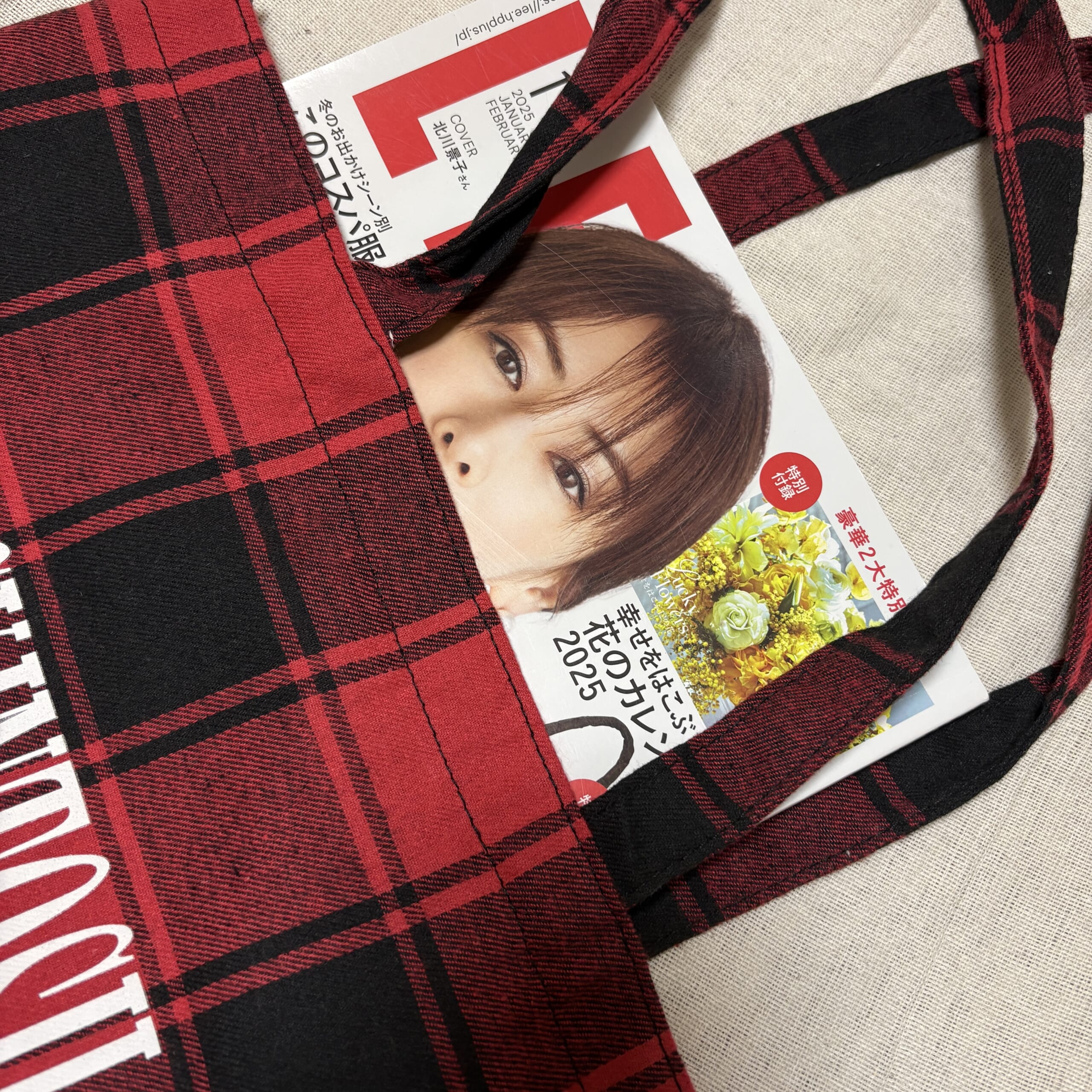 マッキントッシュ フィロソフィー大人のチェック型BIGトート