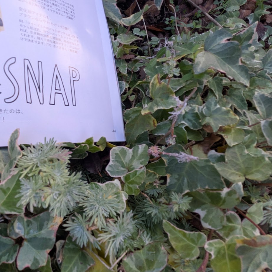 LEE1,2月合併号 LEE100コポ スナップ