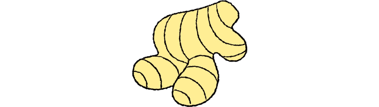 しょうがのイラスト