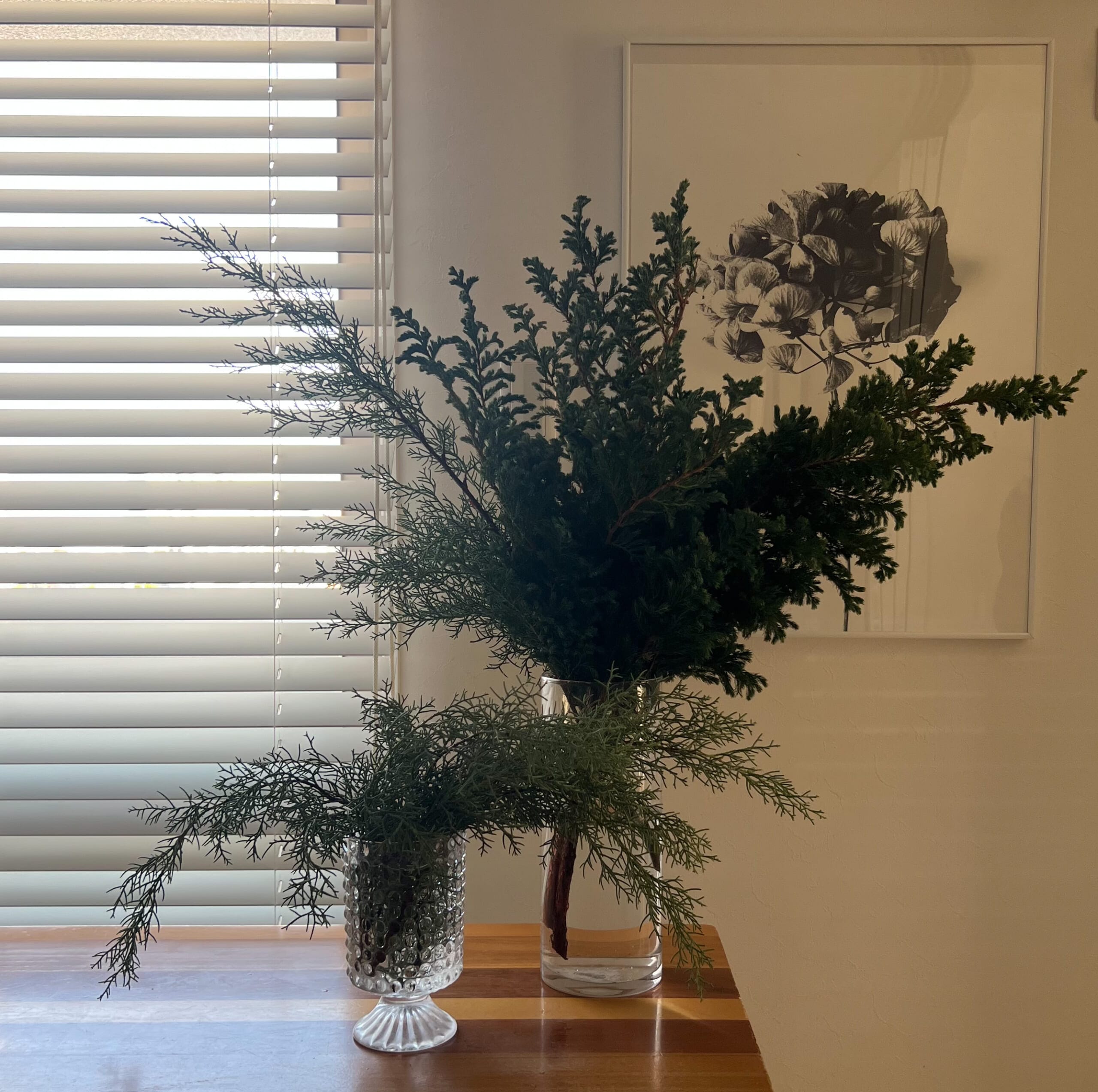 【“小さく飾る”クリスマス】手軽にできる植物アレンジ ・5年目のご挨拶 TB icoco