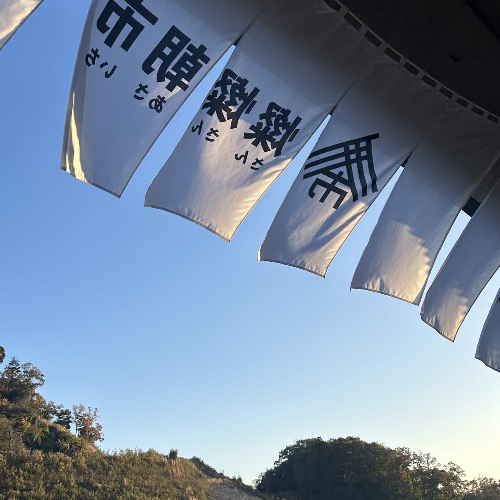 ヴィソン 朝市 三重