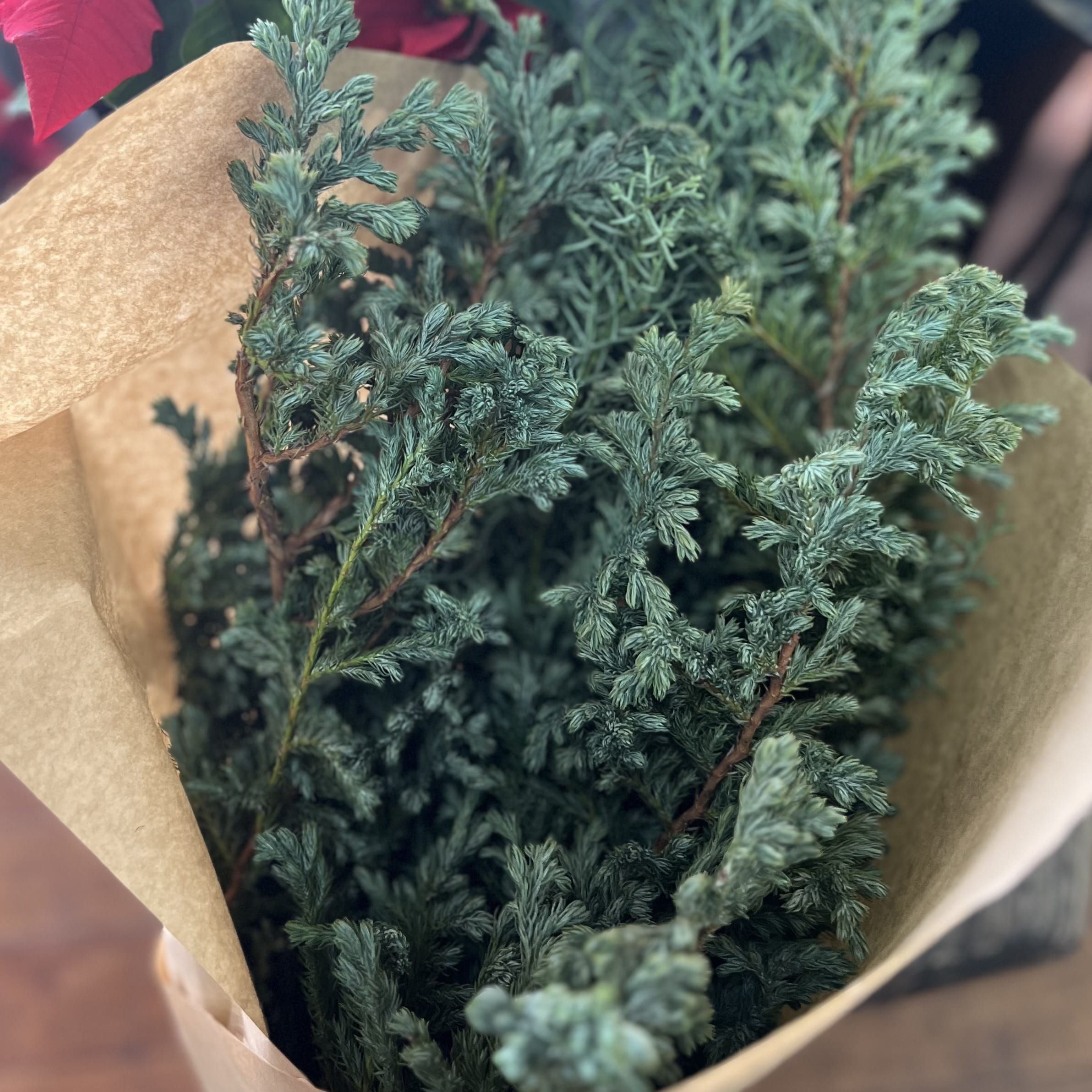 【“小さく飾る”クリスマス】手軽にできる植物アレンジ ・5年目のご挨拶 TB icoco