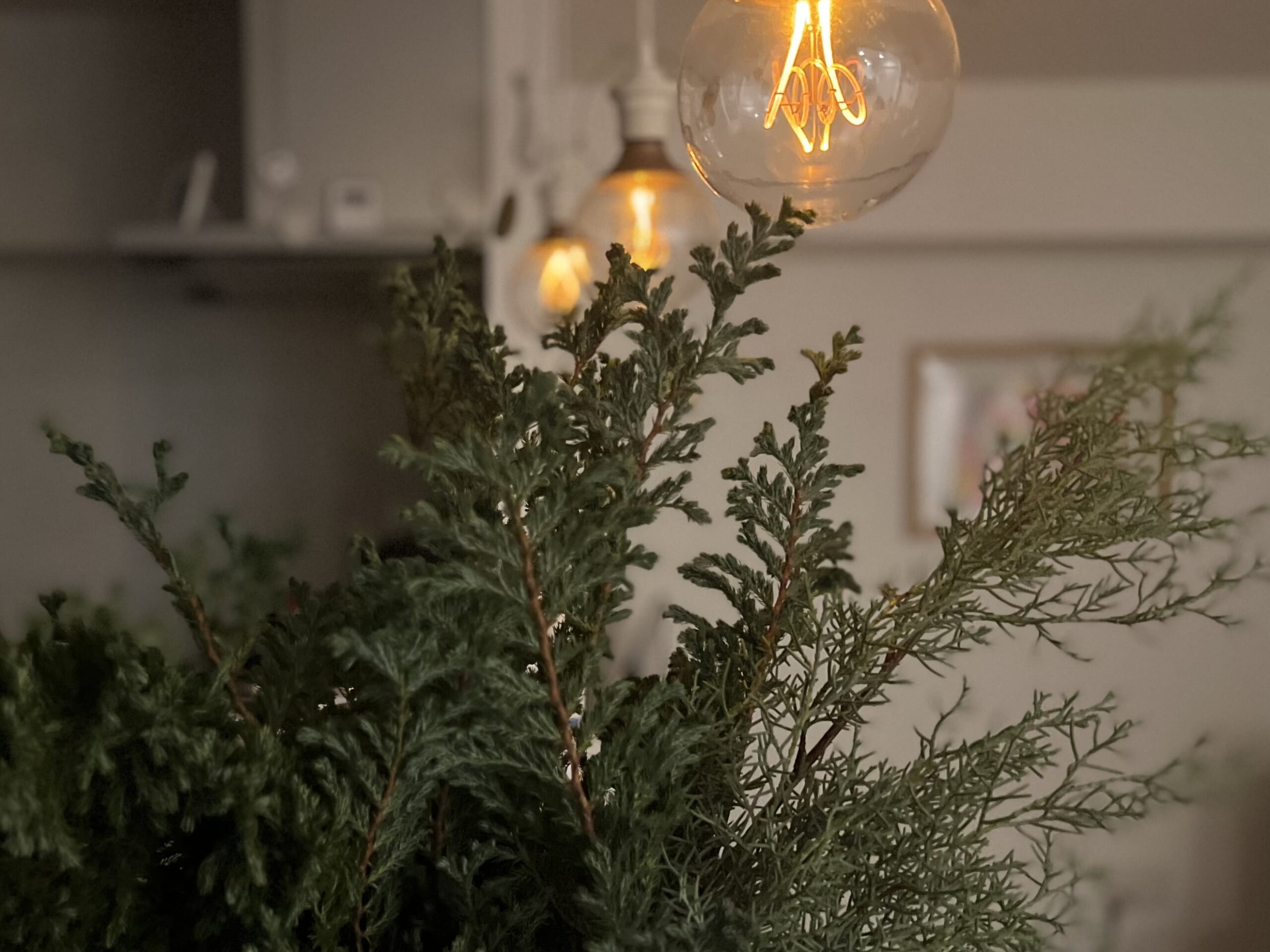 【“小さく飾る”クリスマス】手軽にできる植物アレンジ ・5年目のご挨拶 TB icoco