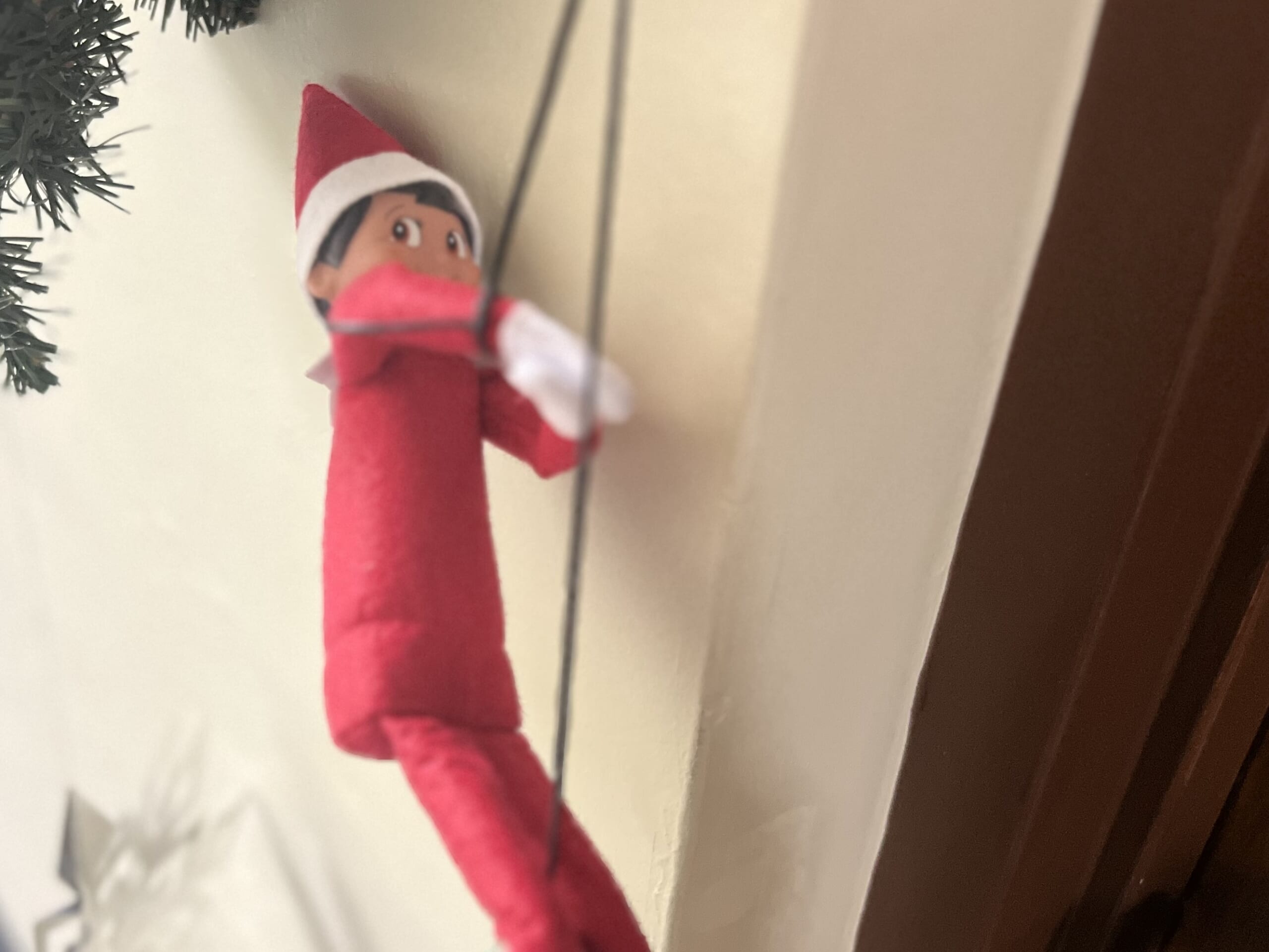 【“小さく飾る”クリスマス】手軽にできる植物アレンジ ・5年目のご挨拶 TB icoco