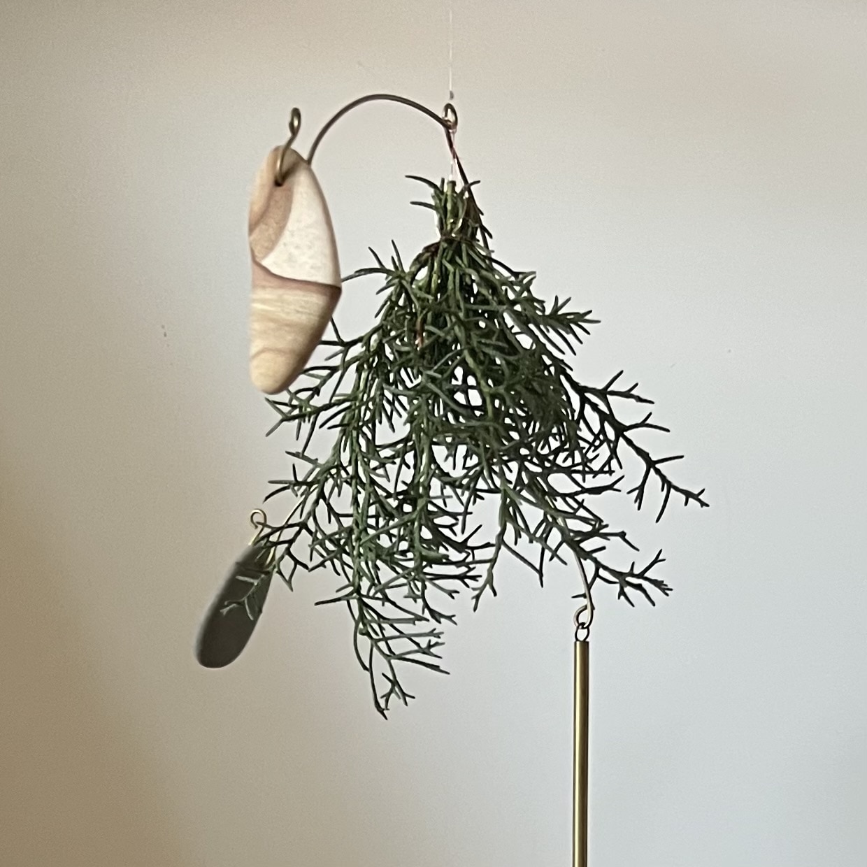 【“小さく飾る”クリスマス】手軽にできる植物アレンジ ・5年目のご挨拶 TB icoco