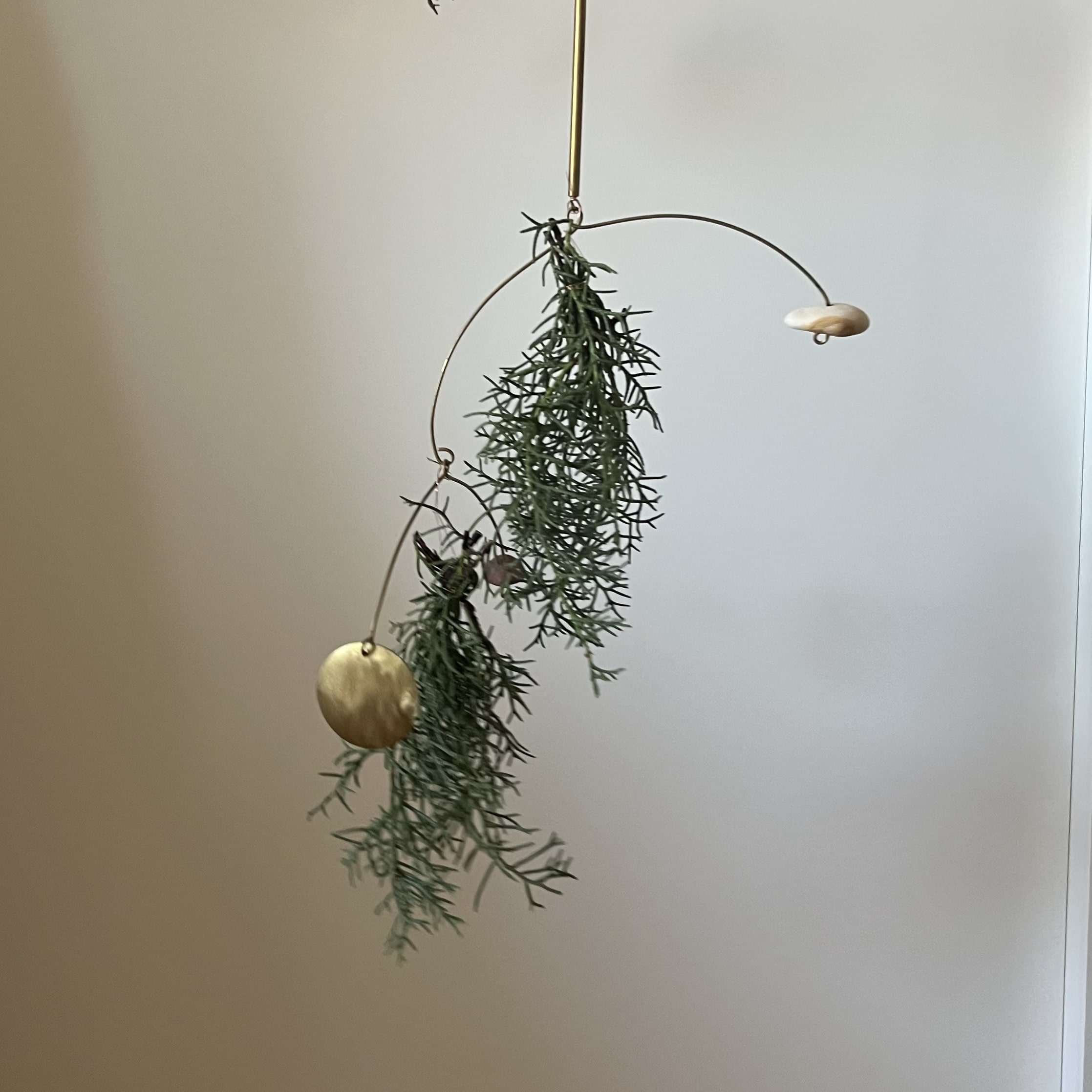 【“小さく飾る”クリスマス】手軽にできる植物アレンジ ・5年目のご挨拶 TB icoco