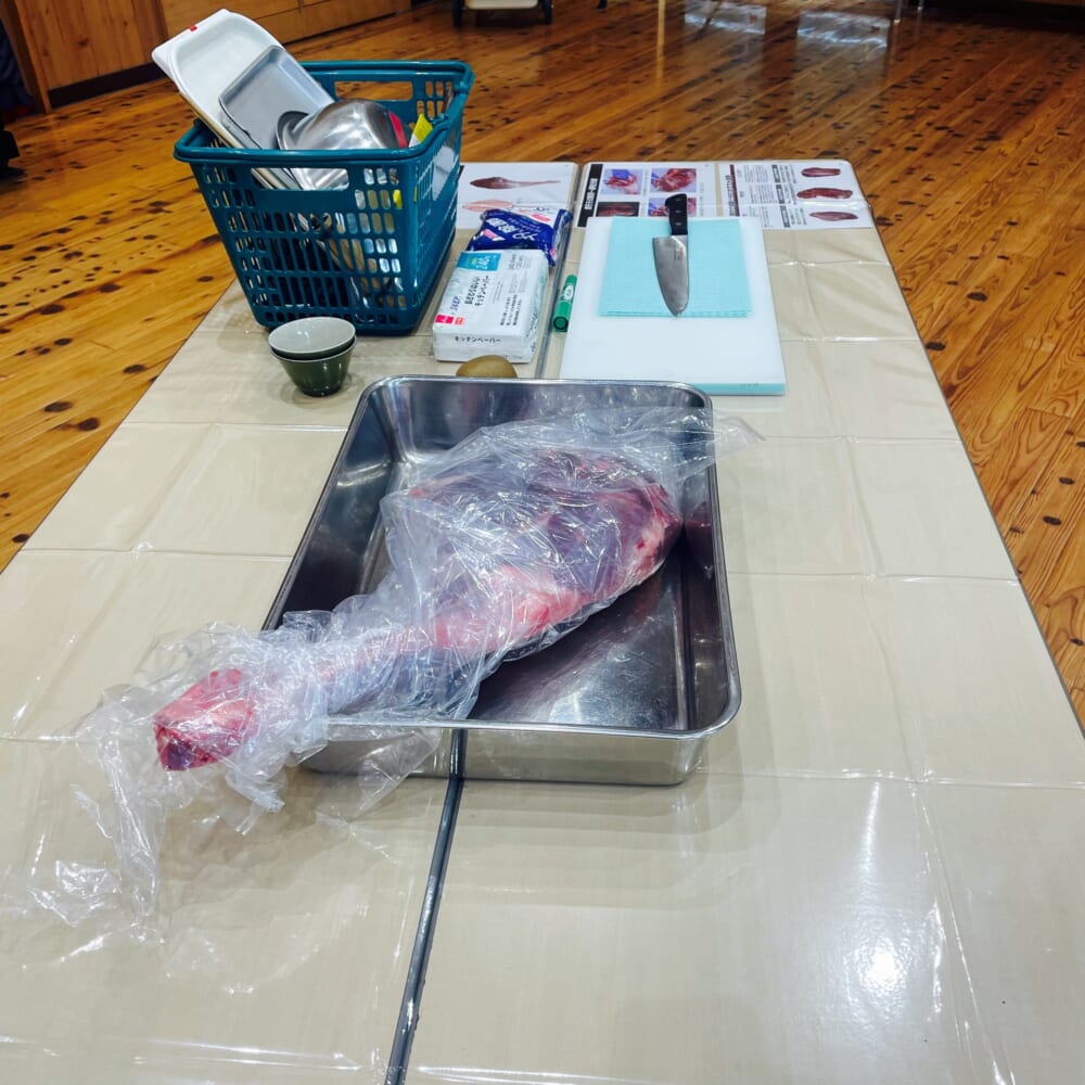 ジビエ 鹿肉 表丹沢野外活動センター