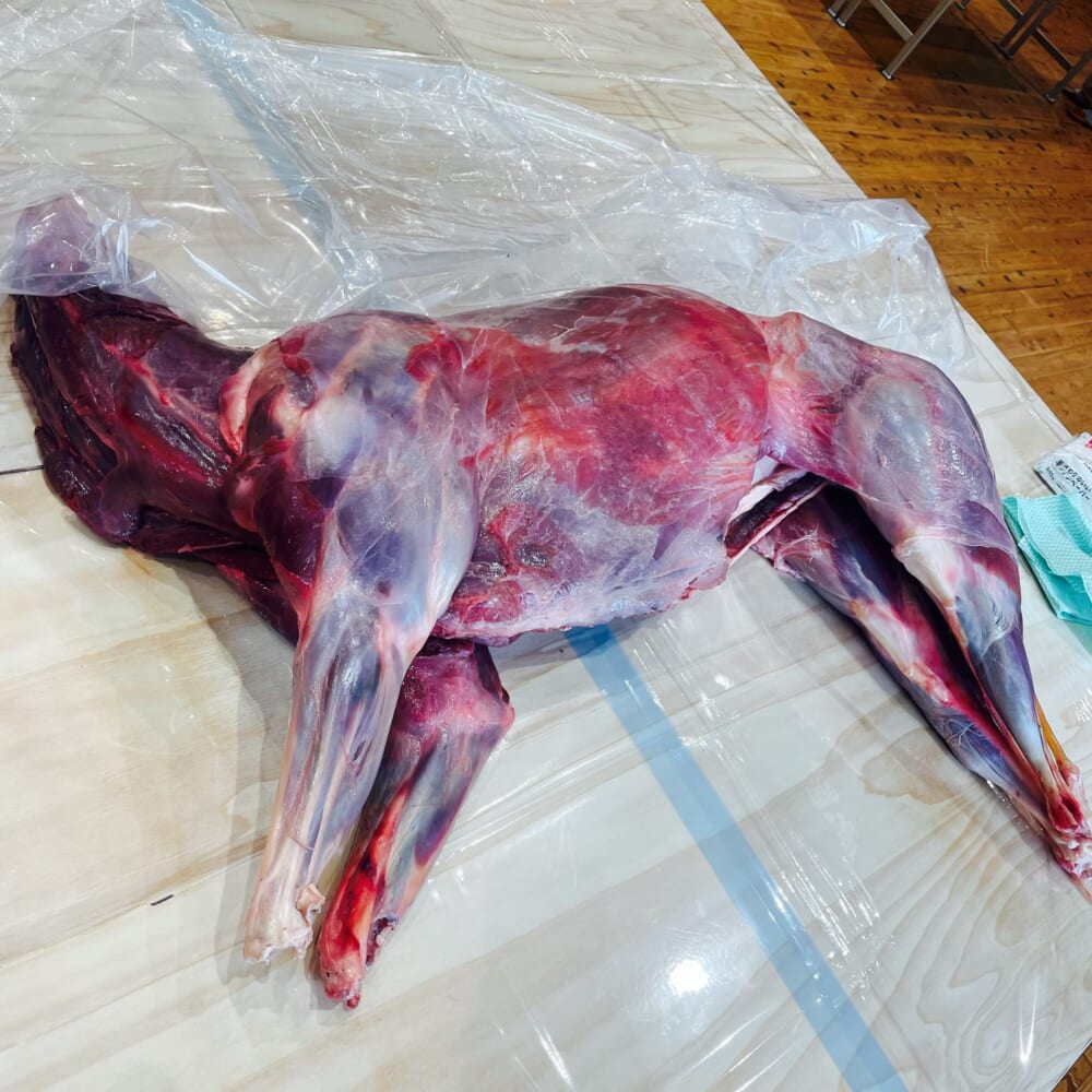 鹿肉 ジビエ 丸ごと