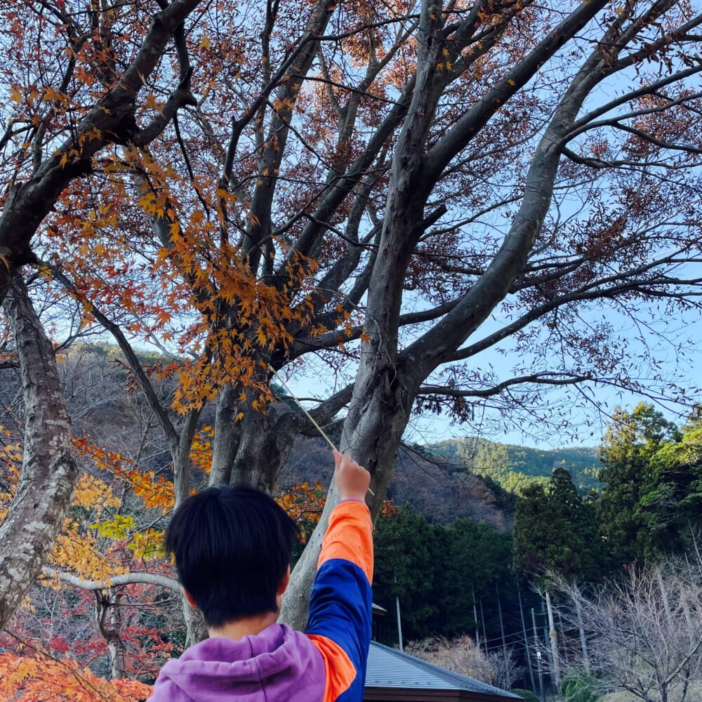 表丹沢野外活動センター ジビエイベント 夕暮れ