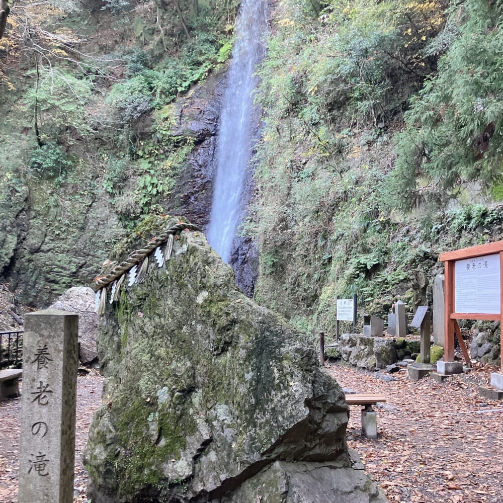 養老　紅葉　ハイキング①