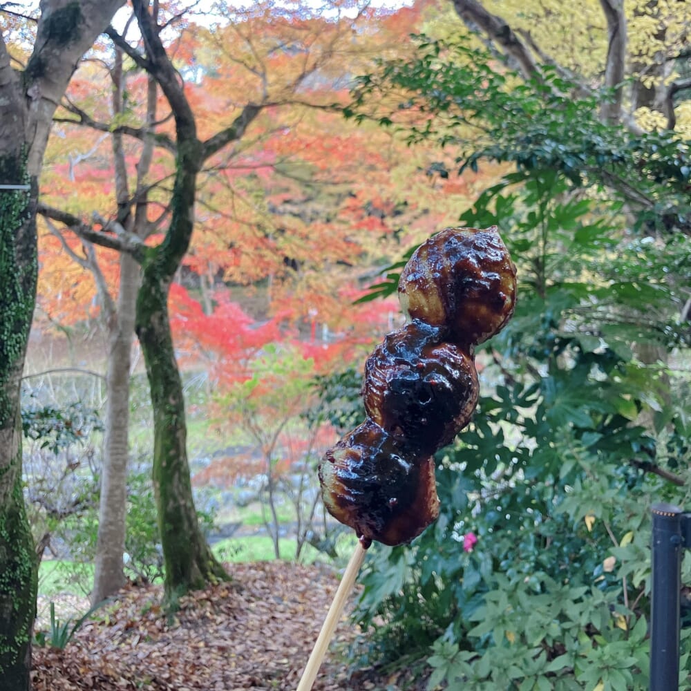 養老　紅葉　ハイキング⑤