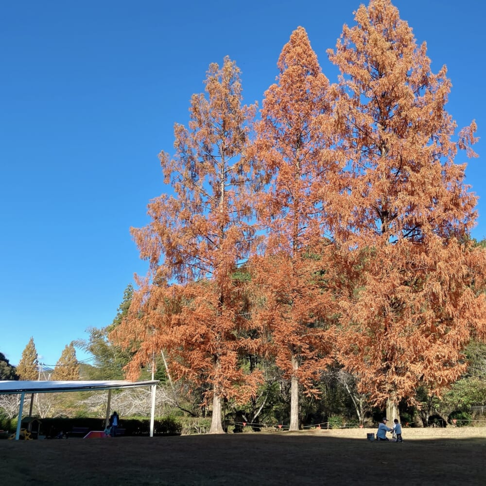 百年公園 サイクリング②