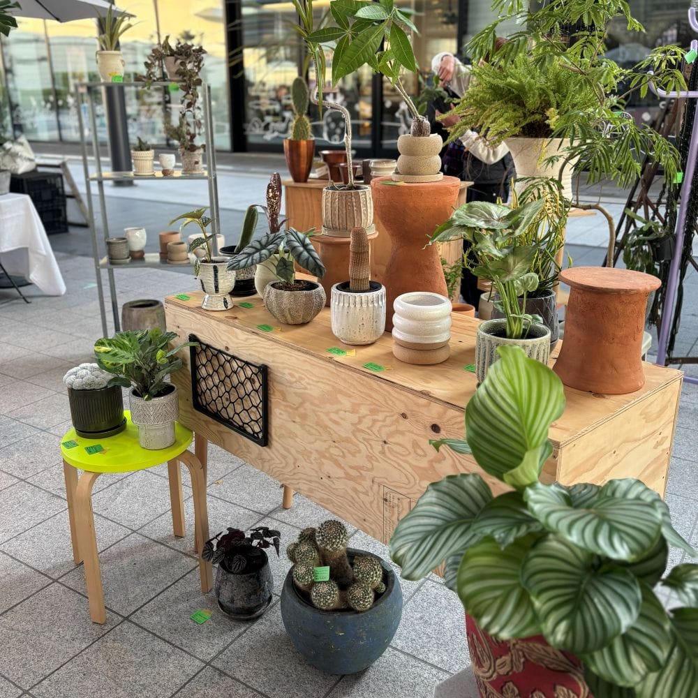 グリーン　植物　蚤の市