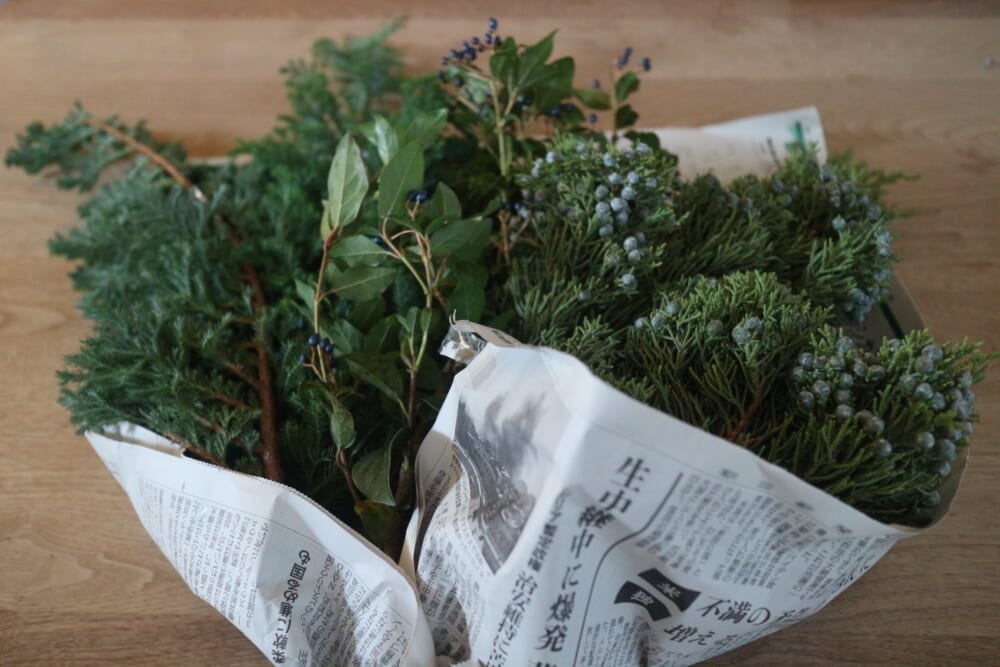 植物 クリスマス ミニツリー