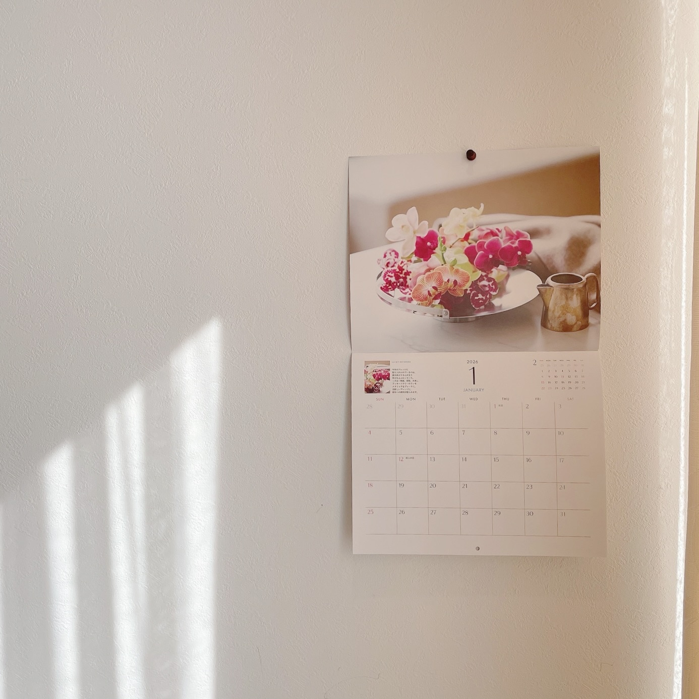 LEE2026年1・2月合併号