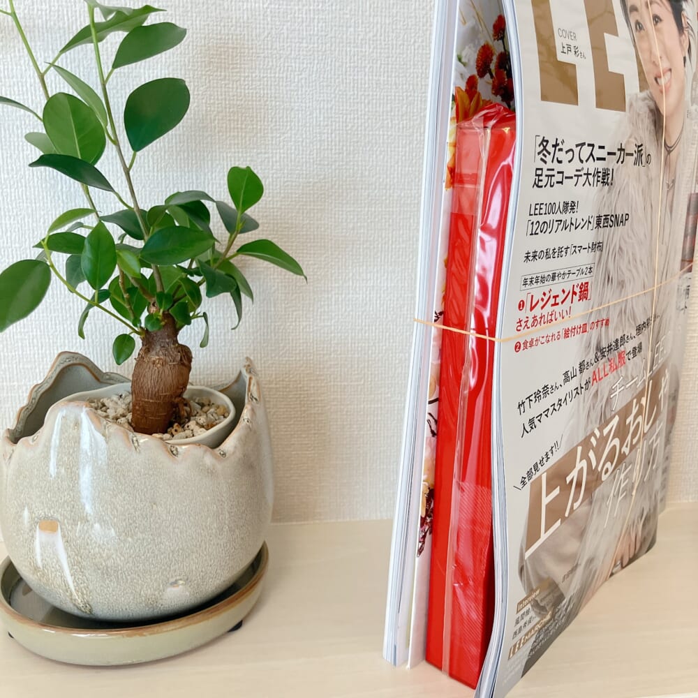 LEE　マッキントッシュフィロソフィー⑪