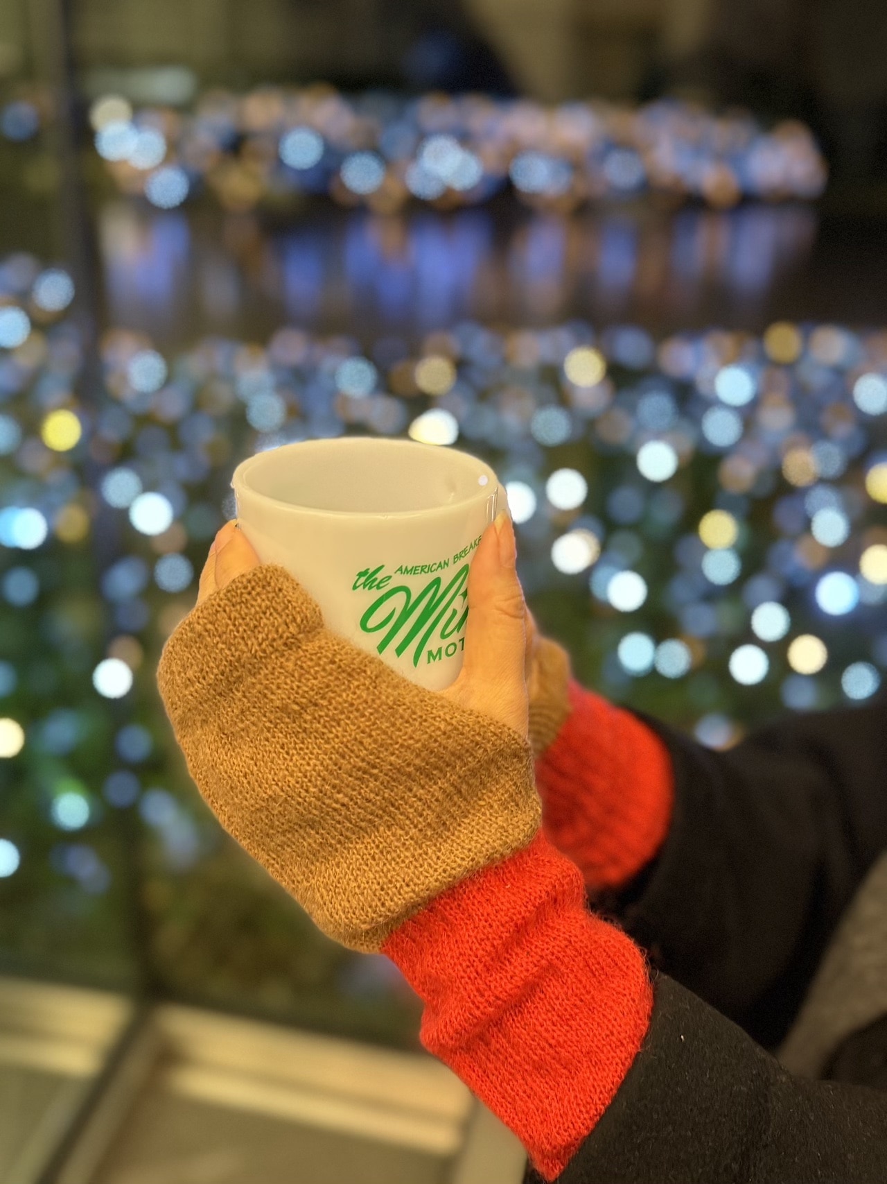 TEMBEA (テンベア)【LEE別注】GUNTE ARM WARMER＋7／アームウォーマー