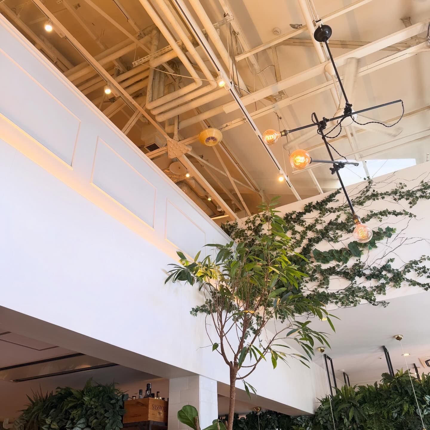 スーホルムカフェ 天王洲アイル