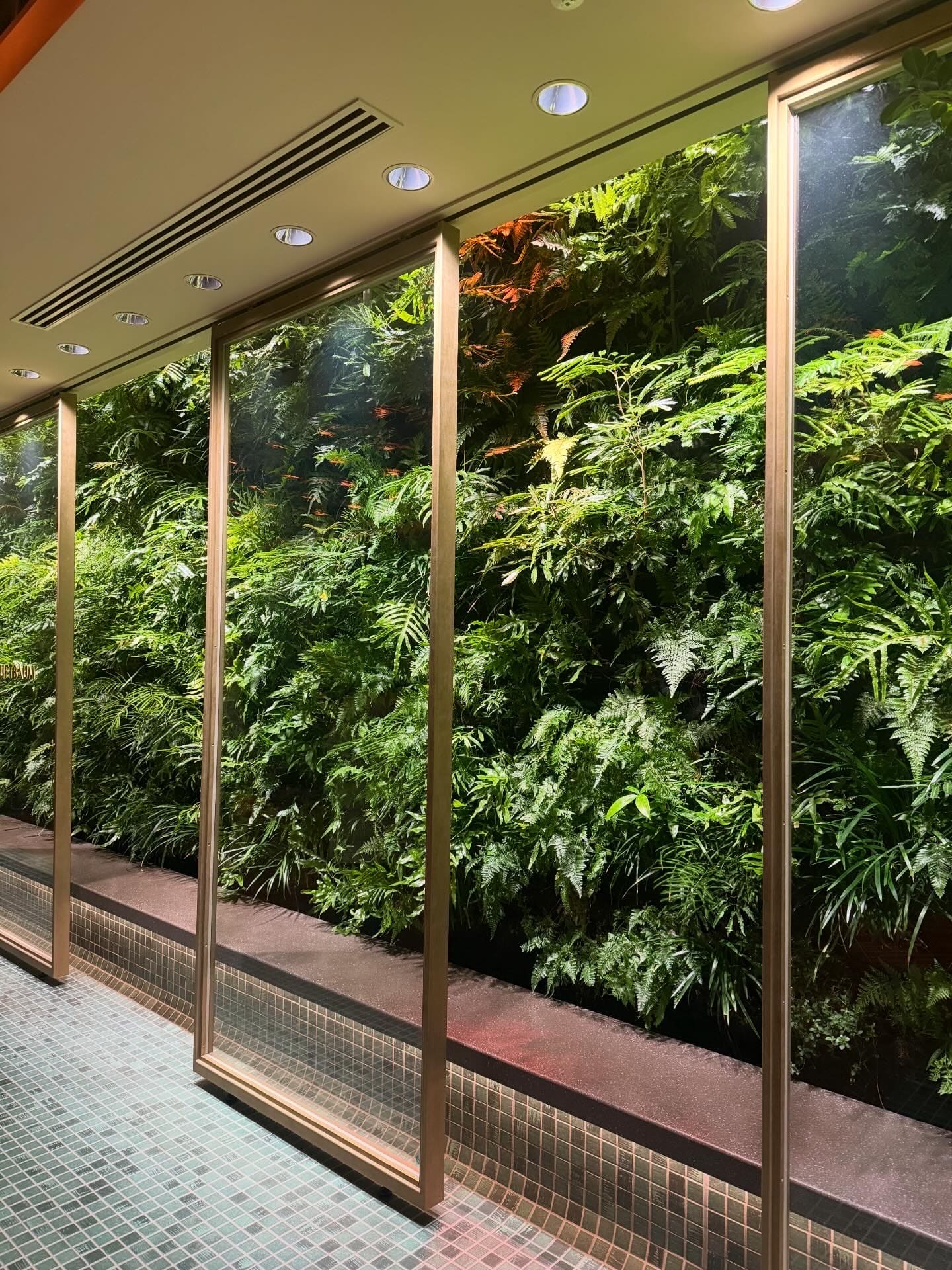 ニューマン高輪