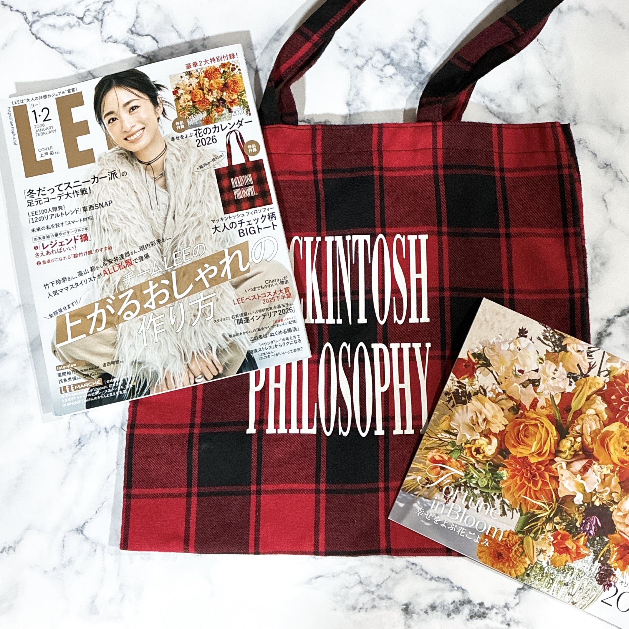 LEE 2026年 1 2 月合併号 付録 マッキントッシュ 大人のチェック柄BIGトート スナップ