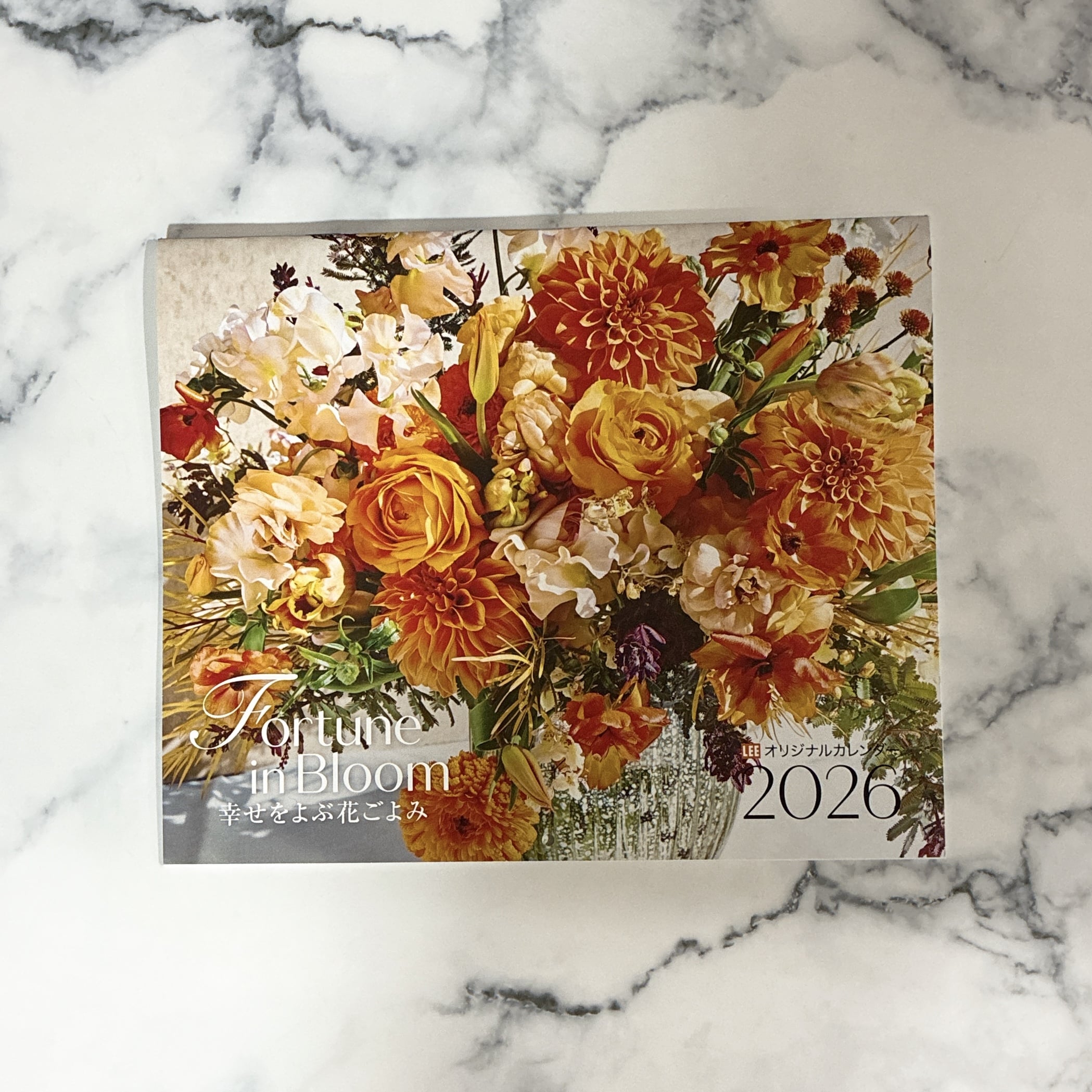 LEE 2026年 1 2 月合併号 付録 マッキントッシュ 大人のチェック柄BIGトート スナップ