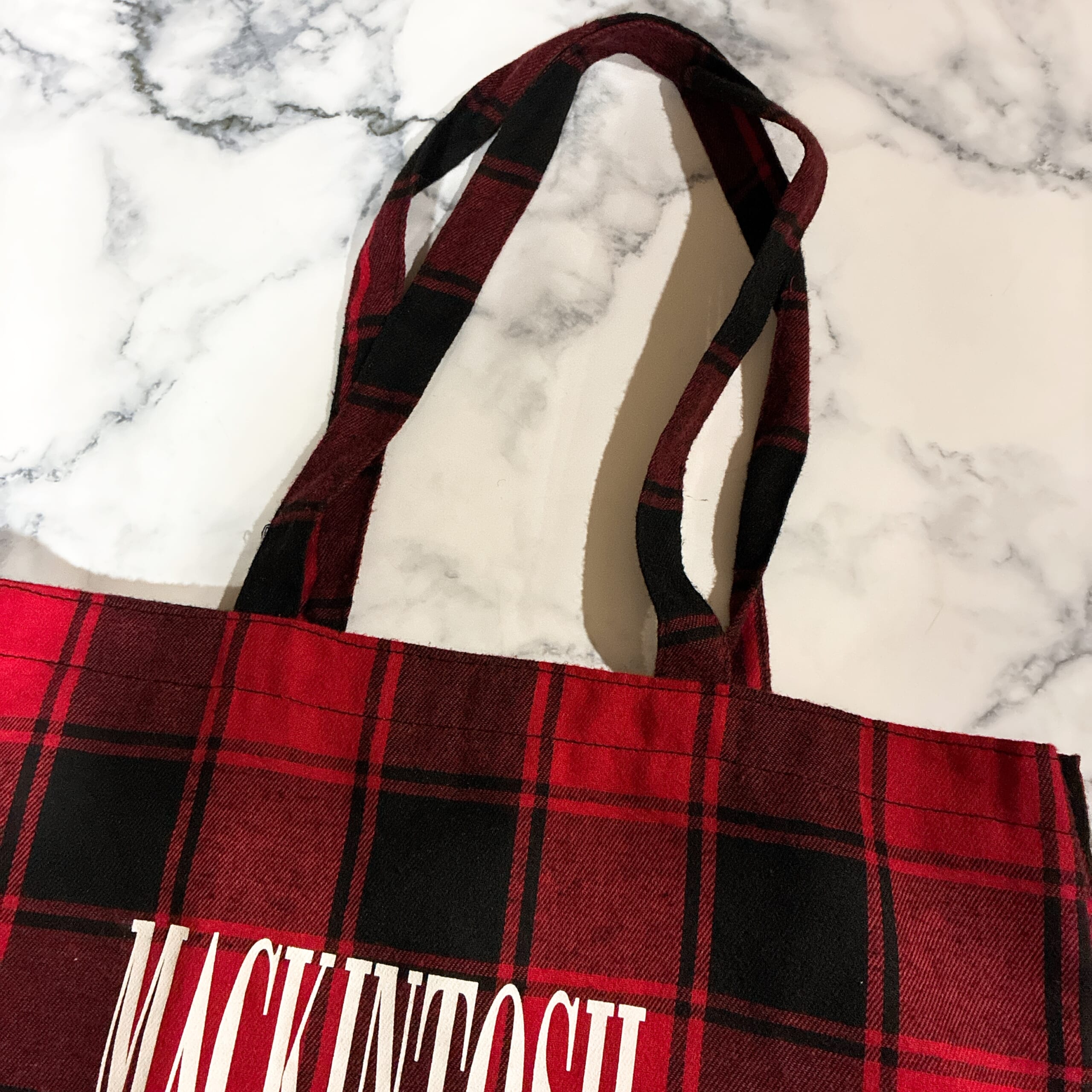 LEE 2026年 1 2 月合併号 付録 マッキントッシュ 大人のチェック柄BIGトート スナップ