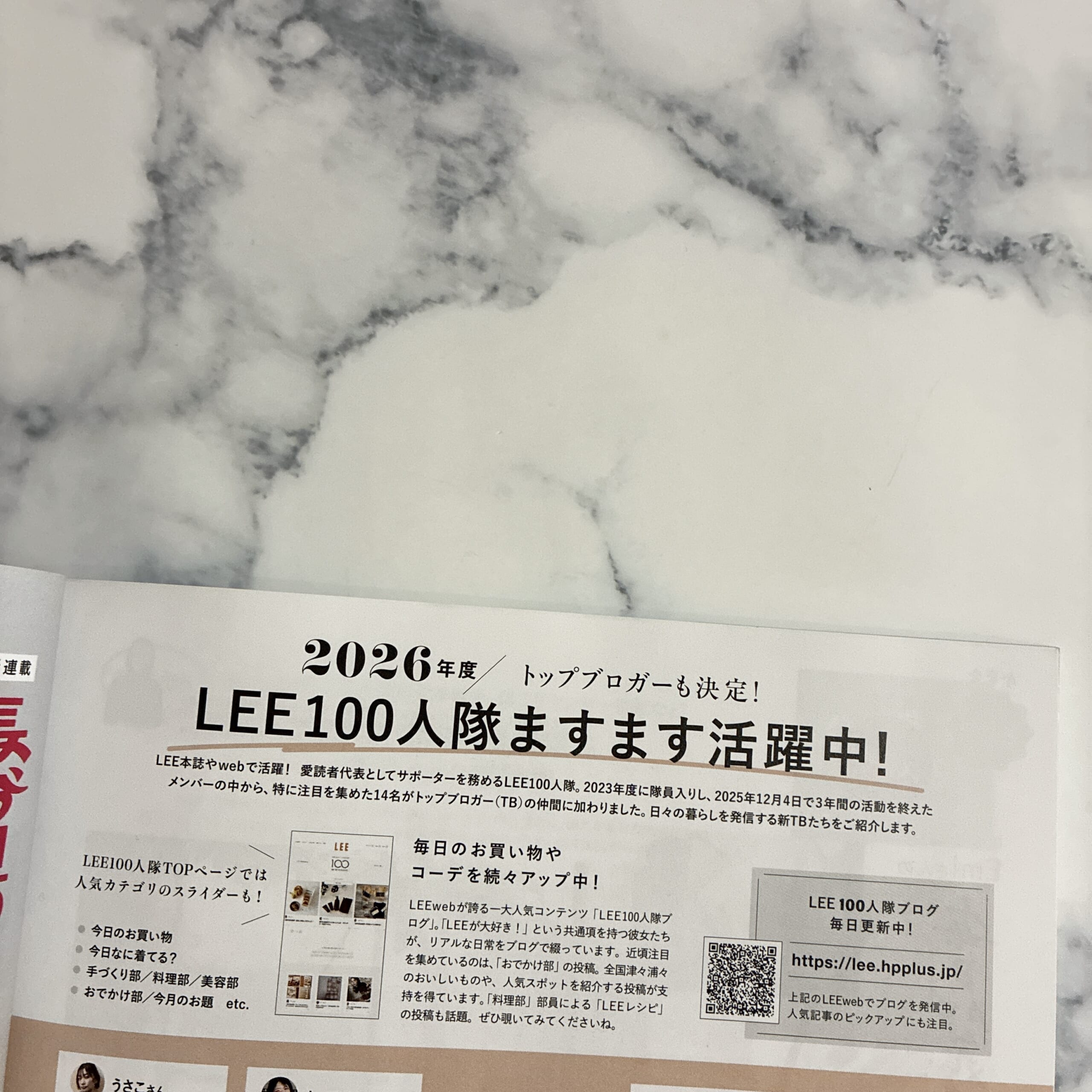 LEE 2026年 1 2 月合併号 付録 マッキントッシュ 大人のチェック柄BIGトート スナップ