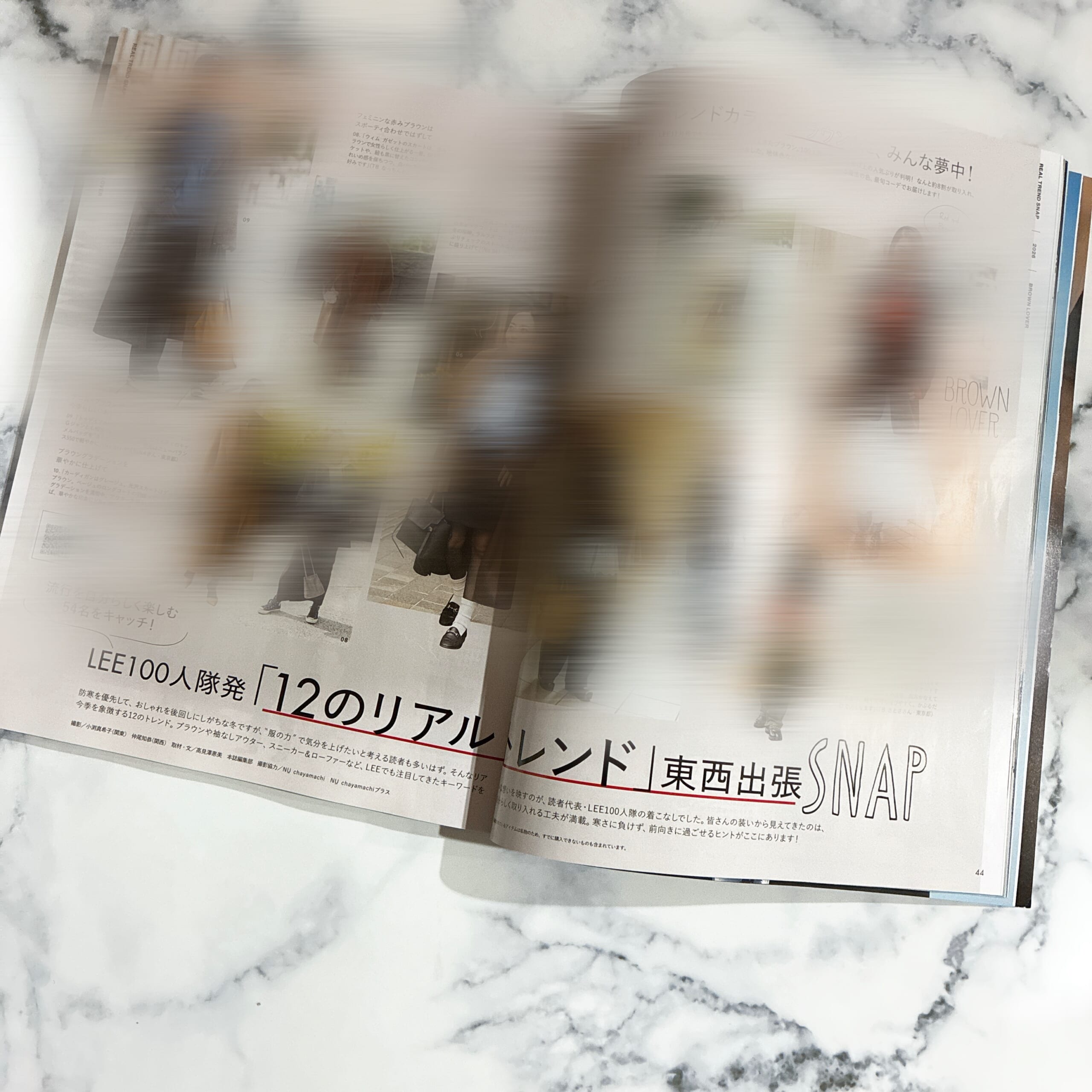 LEE 2026年 1 2 月合併号 付録 マッキントッシュ 大人のチェック柄BIGトート スナップ