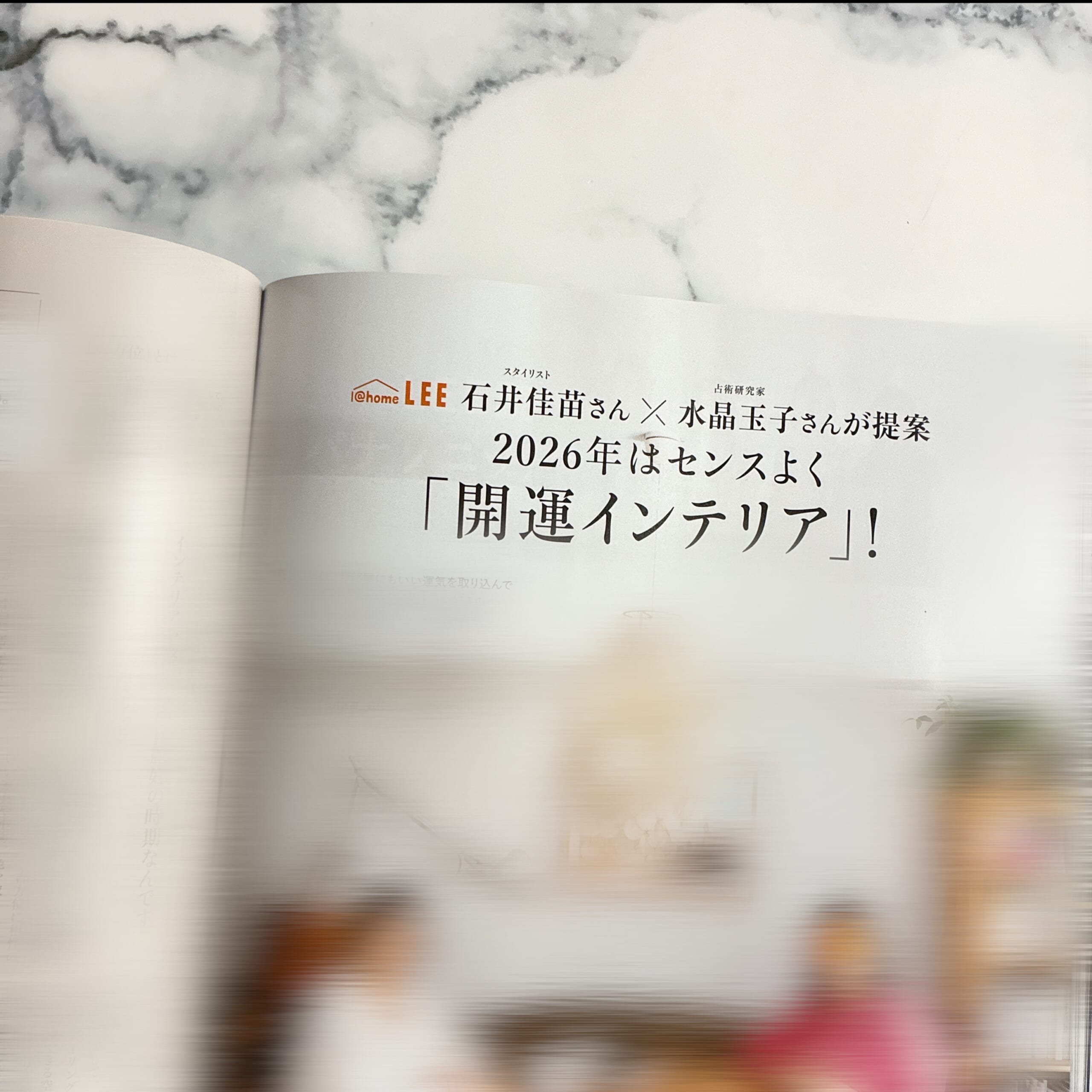 LEE 2026年 1 2 月合併号 付録 マッキントッシュ 大人のチェック柄BIGトート スナップ