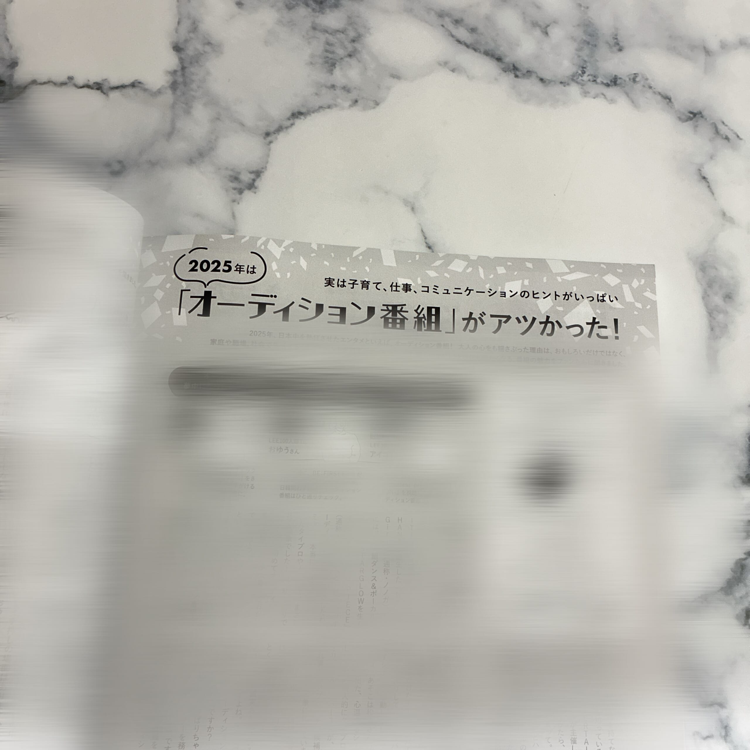 LEE 2026年 1 2 月合併号 付録 マッキントッシュ 大人のチェック柄BIGトート スナップ