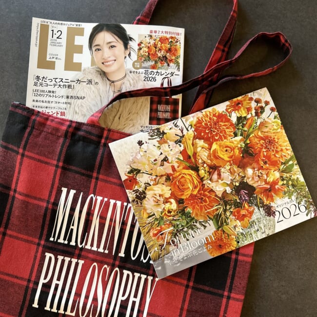 LEE1・2月合併号付録　マッキントッシュ フィロソフィー 大人のチェック柄BIGトート